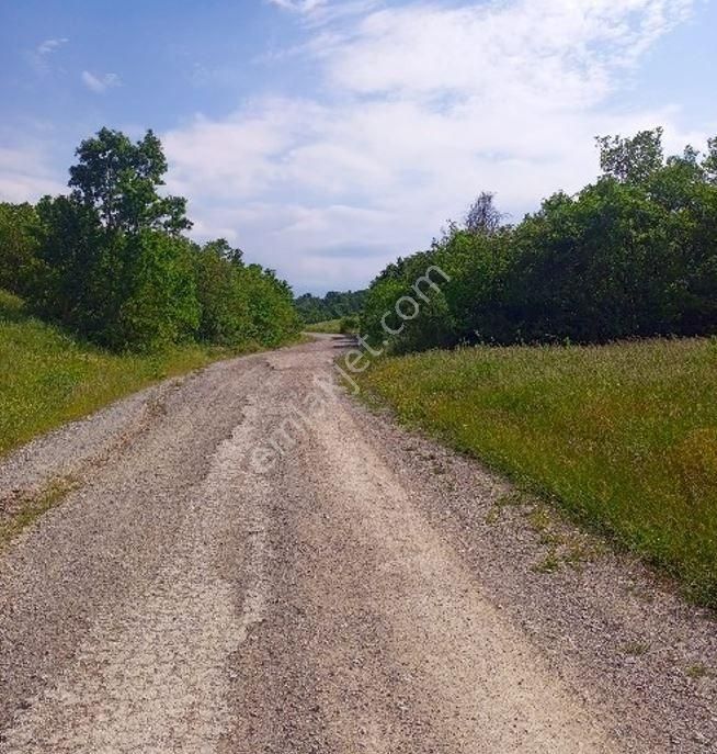 Yatırıma Uygun Yola Cephe Tarla - Görsel 3
