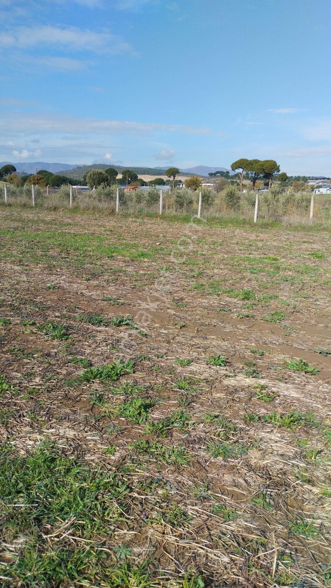 Yatırımlık Bahçe