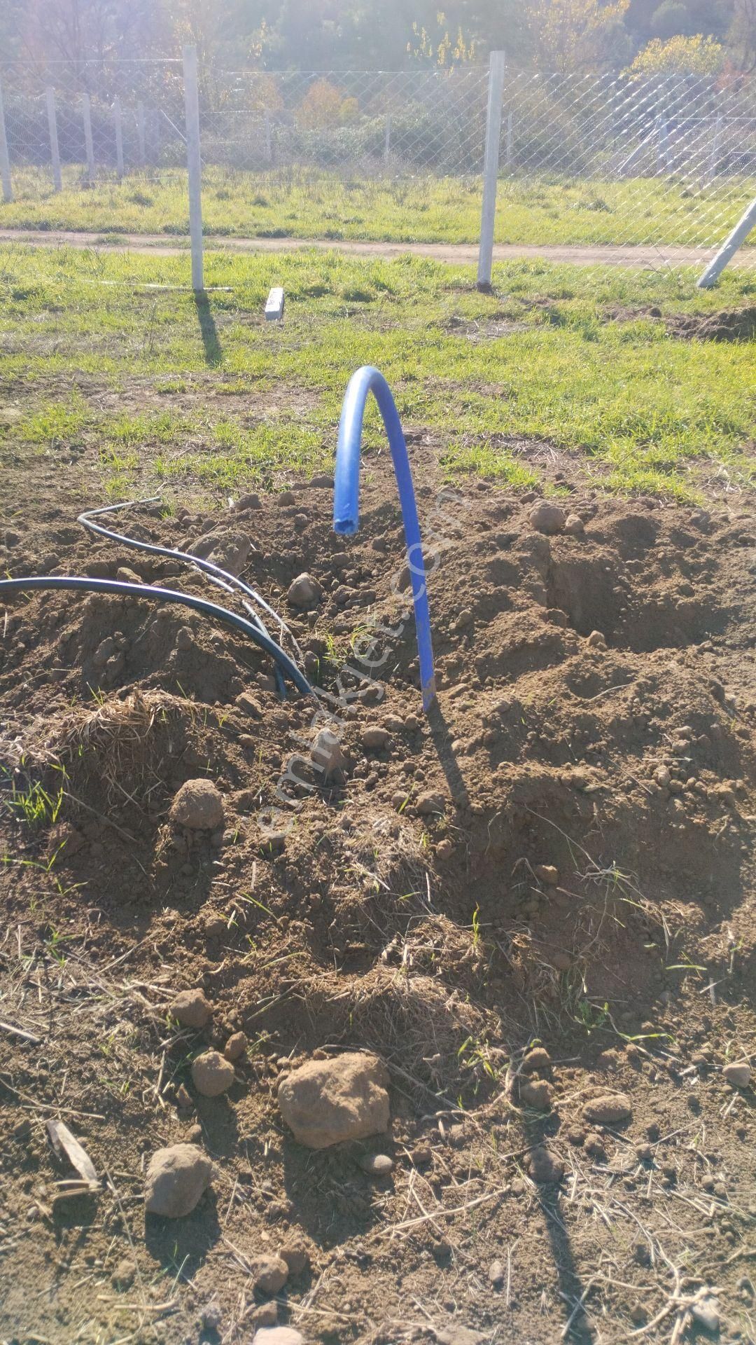 Yatırımlık Bahçe - Görsel 7