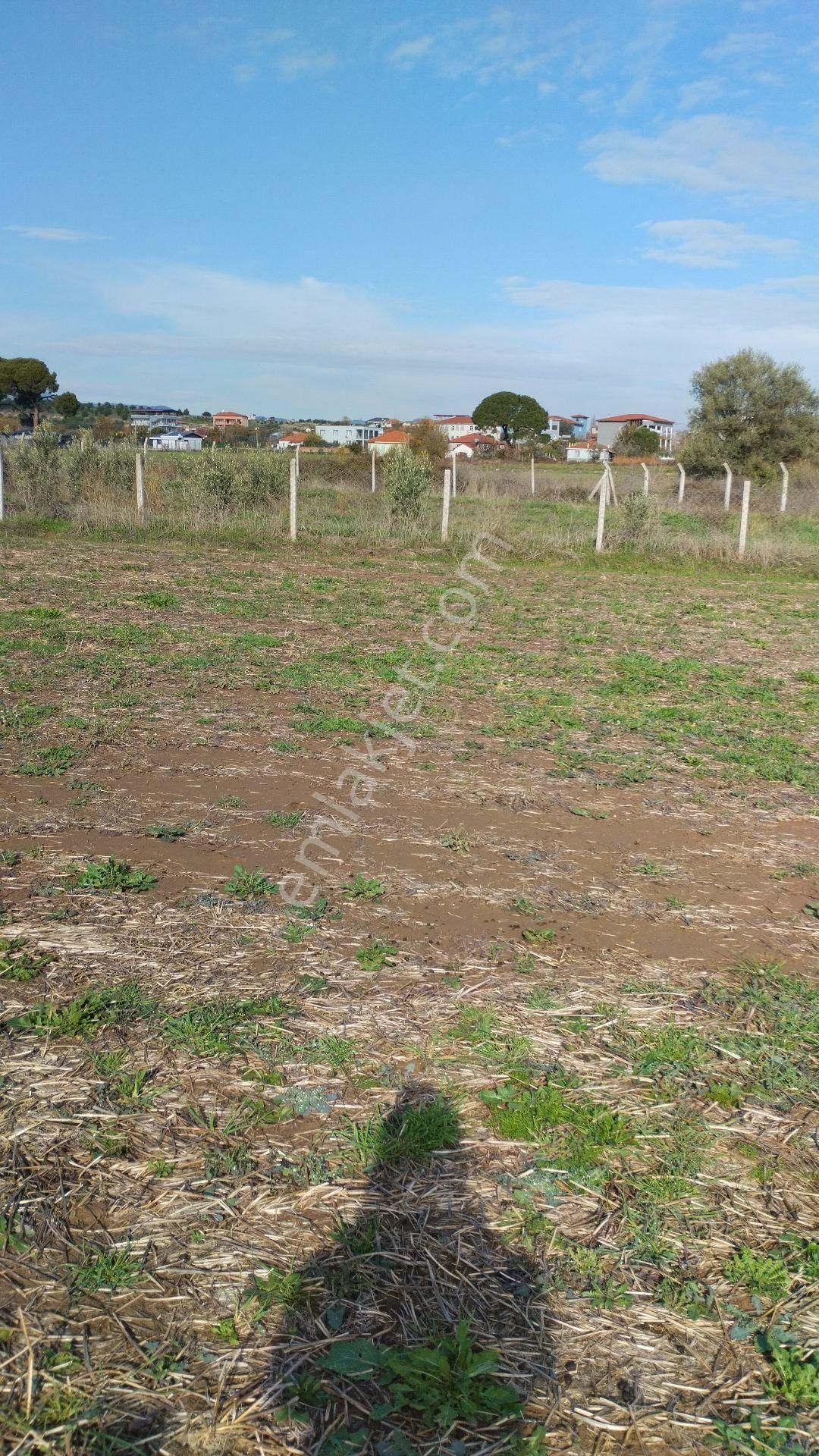 Yatırımlık Bahçe - Görsel 2