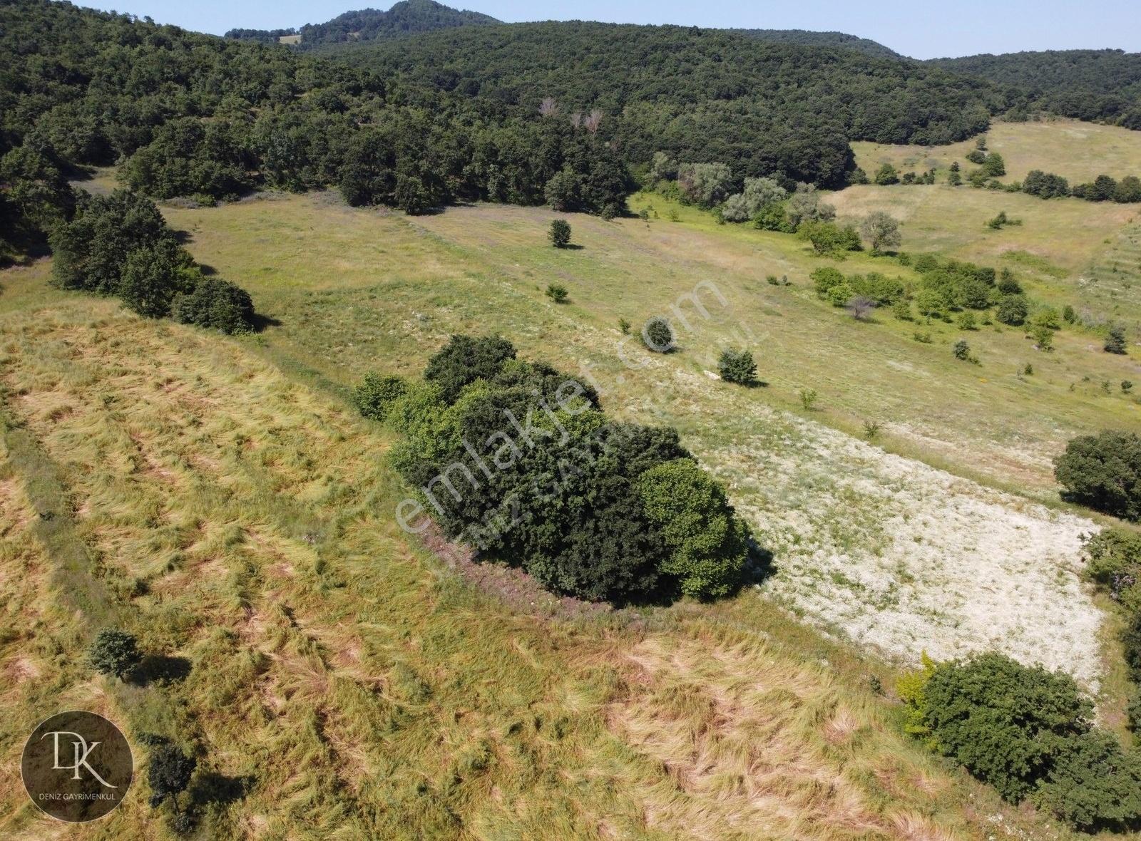 Deniz Gayrimenkul'den Fulacık'ta 8167 M² Satılık Arazi - Görsel 6