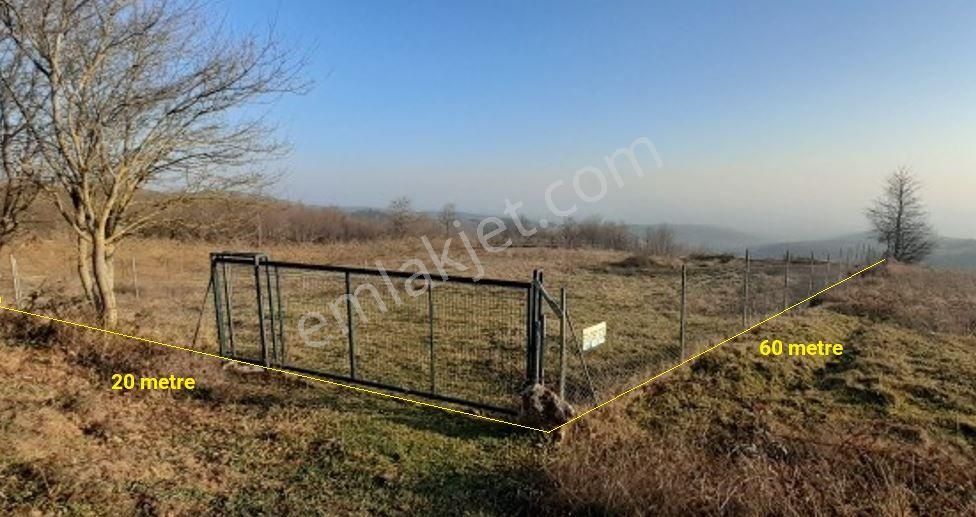 Yatırıma Uygun Müstakil Tapulu Konum Avantajlı Tarla - Görsel 2