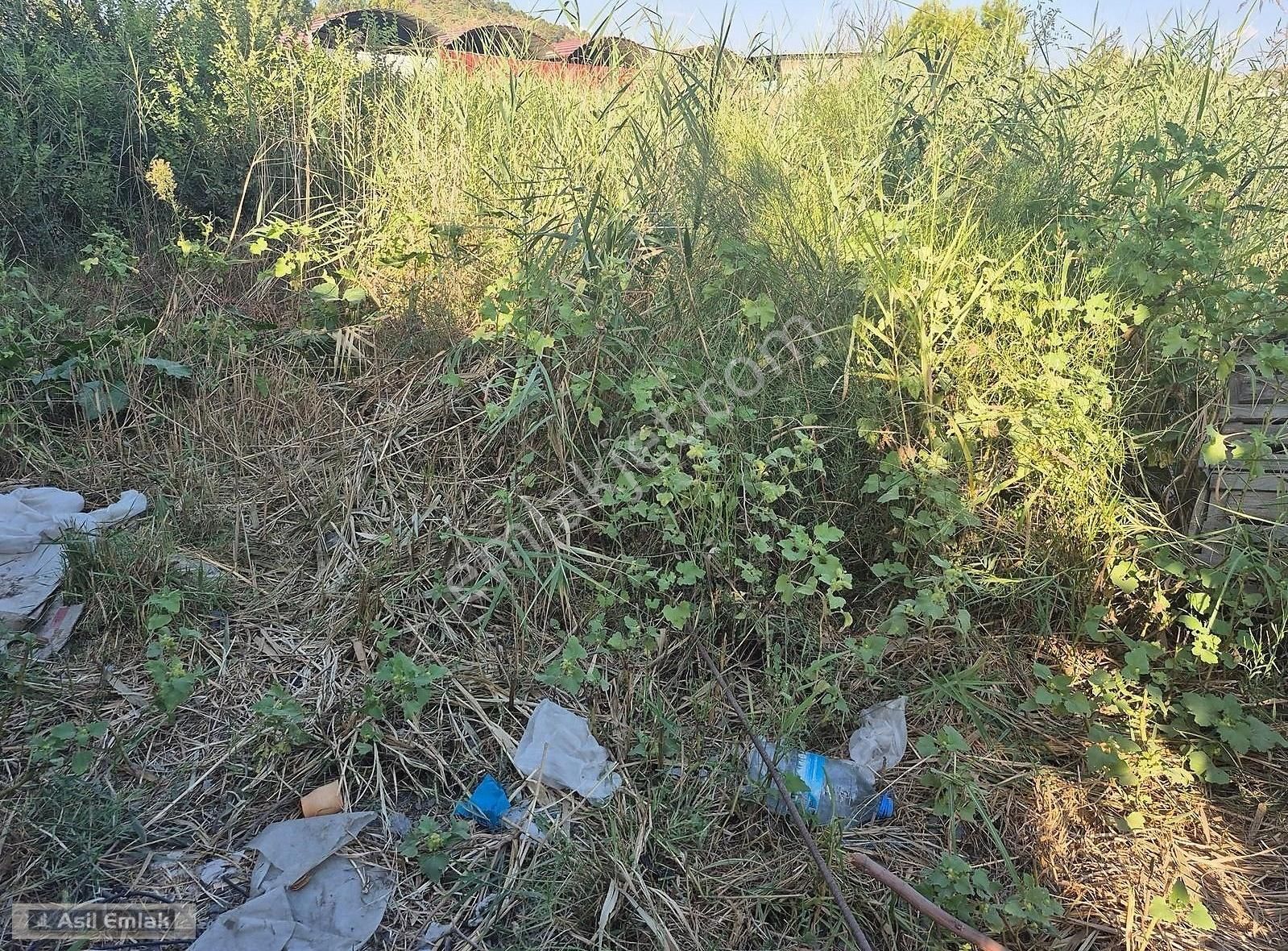 Ortaca Yerbelen Mahdesatılık Arsa - Görsel 5