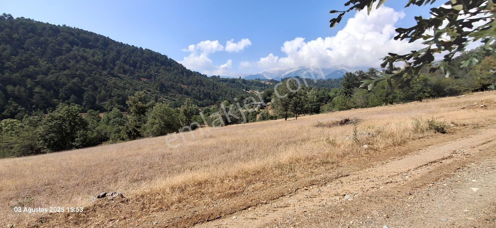 Bursa Osmangazi Küçükdeliller Köyü - Görsel 2