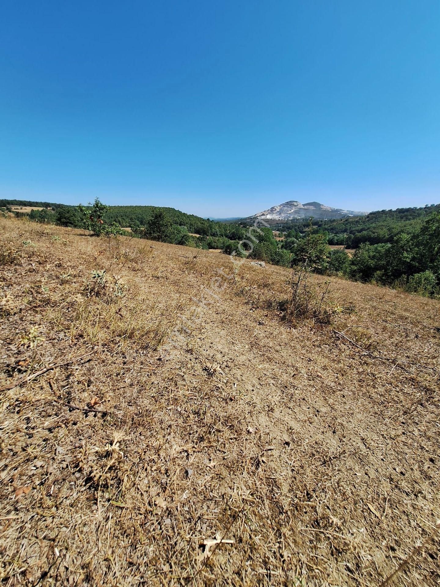 “doğayla İç İçe Yatırım Fırsatı – Kavak Merkeze 3 Km, 6541 M² Tek Tapulu Tarla” - Görsel 6