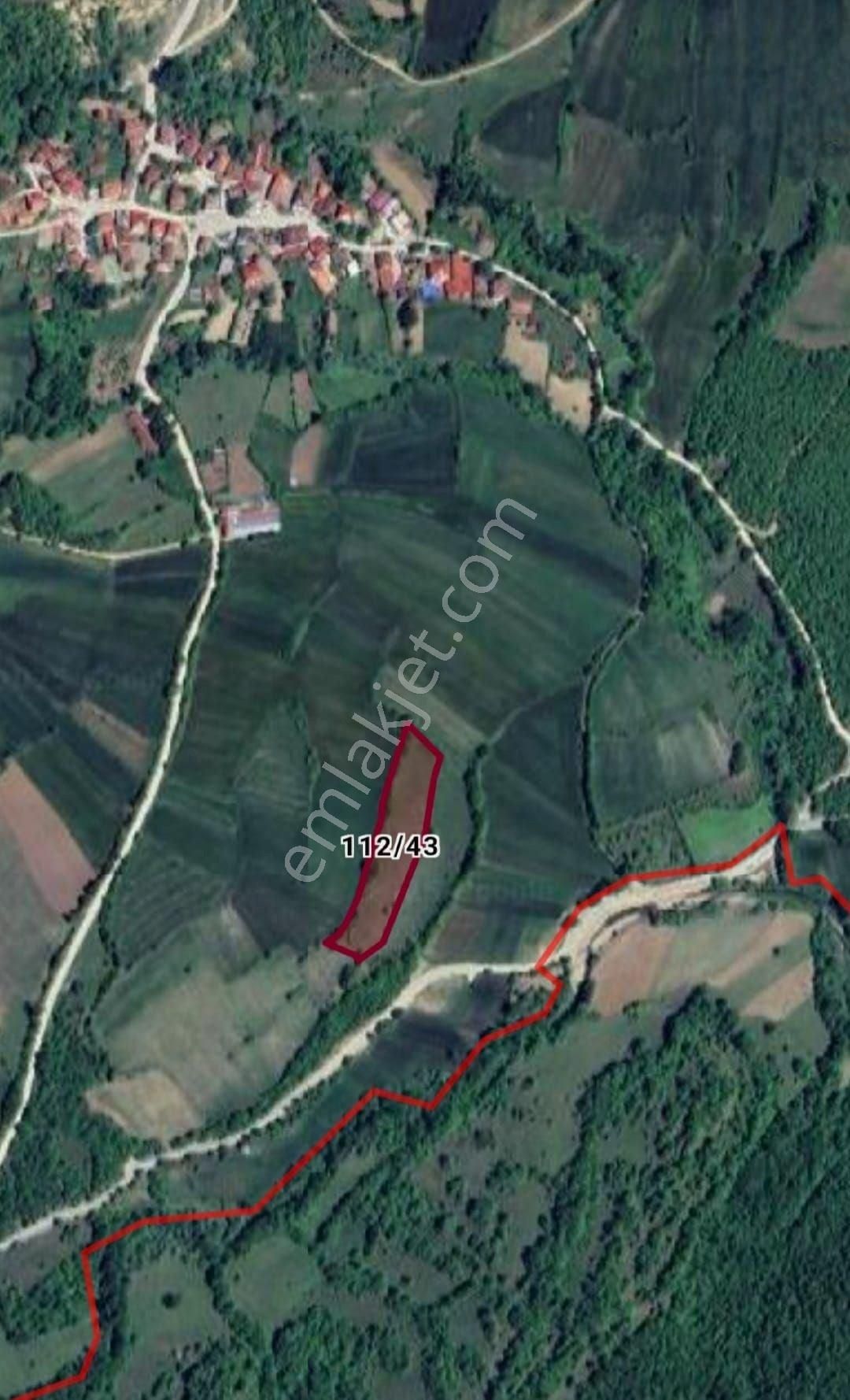 “doğayla İç İçe Yatırım Fırsatı – Kavak Merkeze 3 Km, 6541 M² Tek Tapulu Tarla” - Görsel 13