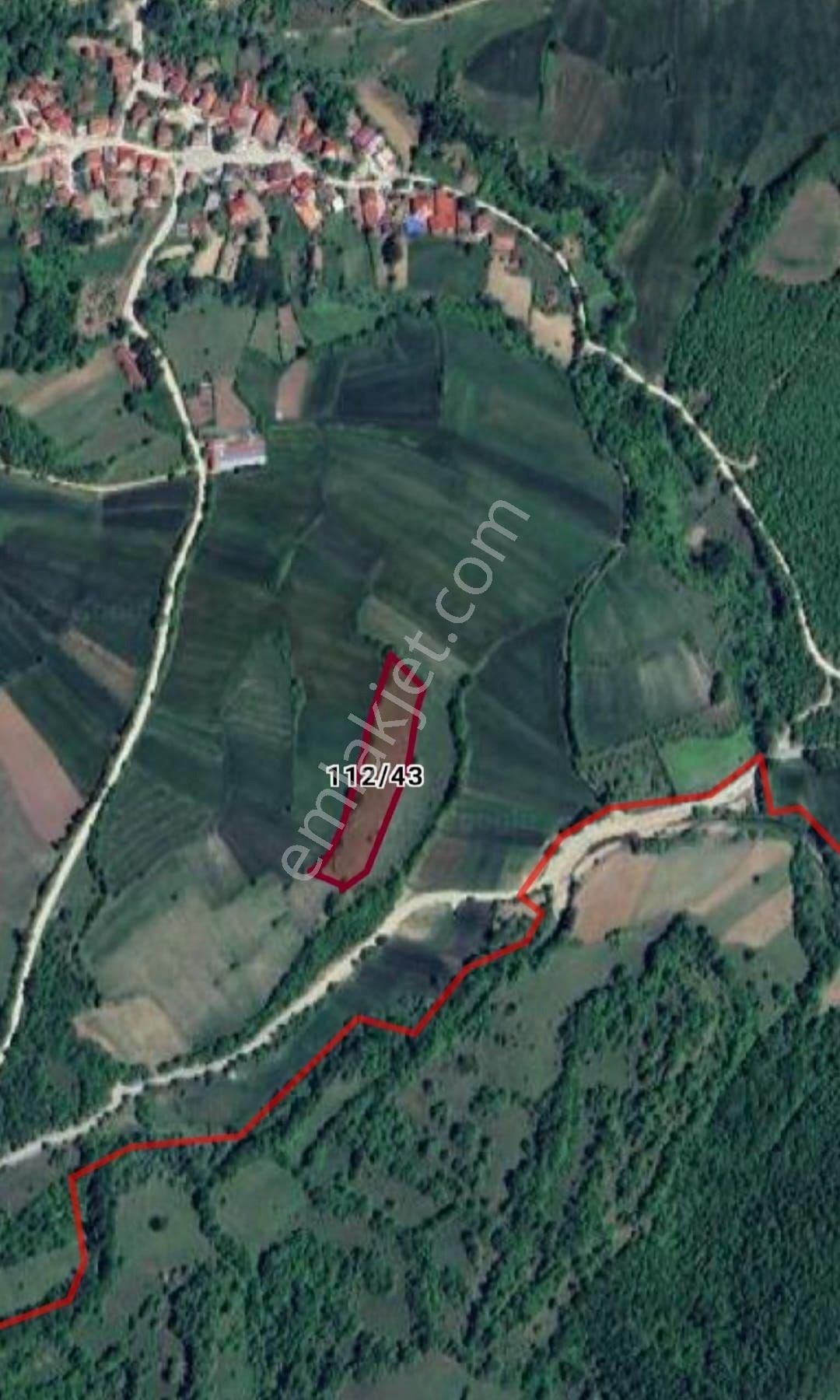 “doğayla İç İçe Yatırım Fırsatı – Kavak Merkeze 3 Km, 6541 M² Tek Tapulu Tarla” - Görsel 8