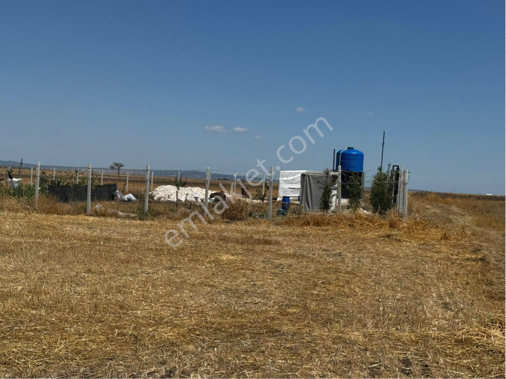 Tekirdağ Saray Kadiköy - Görsel 3