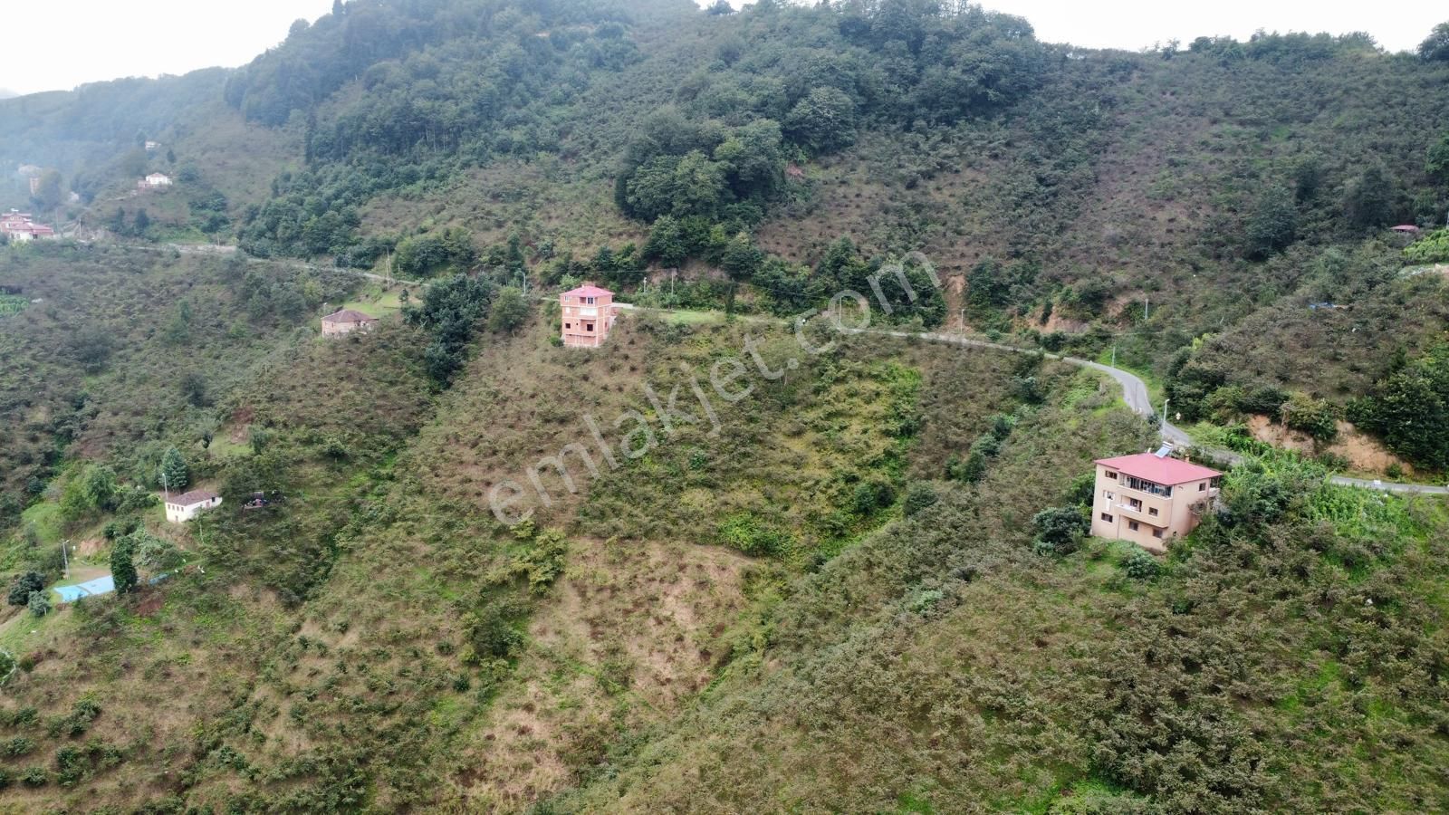 Trabzon'da Satılık Arazi - Görsel 5
