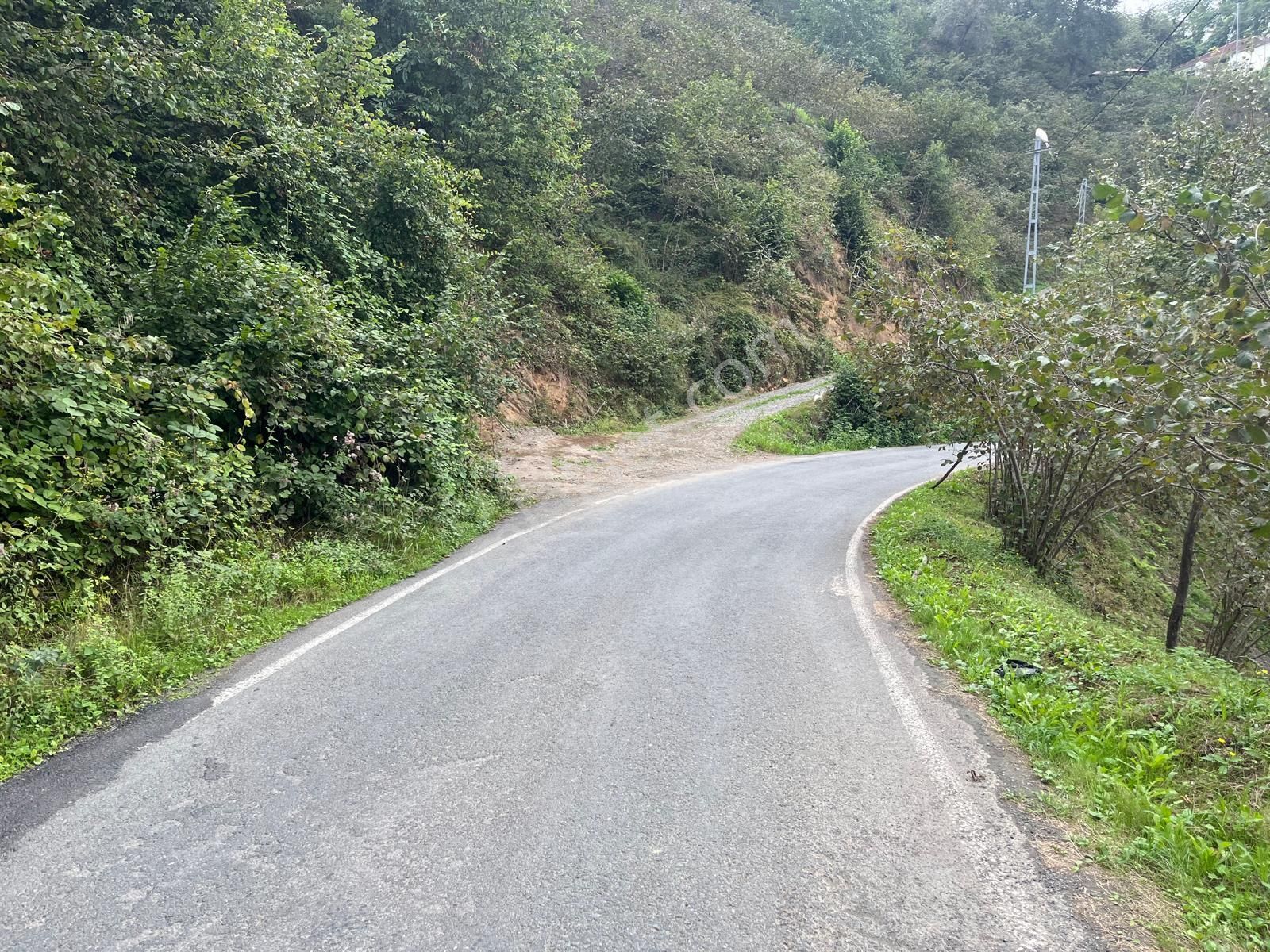 Trabzon'da Satılık Arazi - Görsel 2