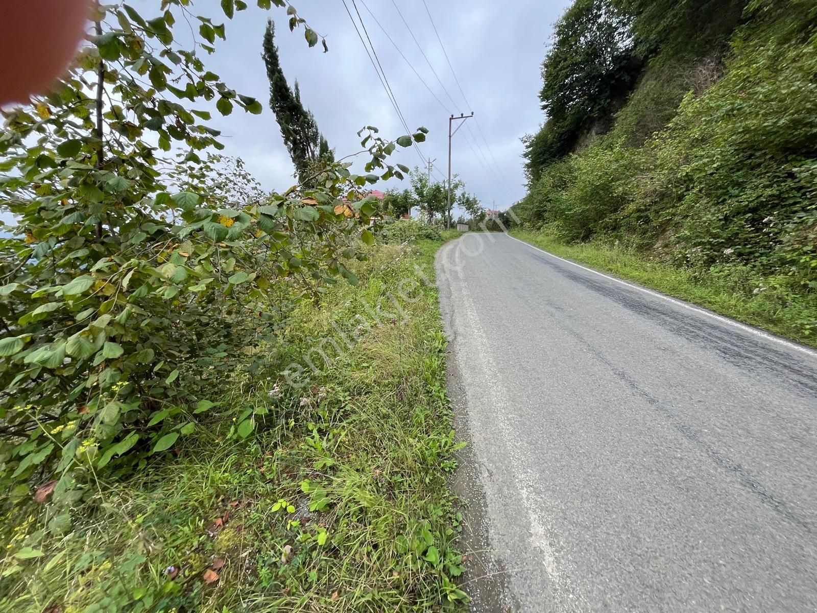 Trabzon'da Satılık Arazi - Görsel 4