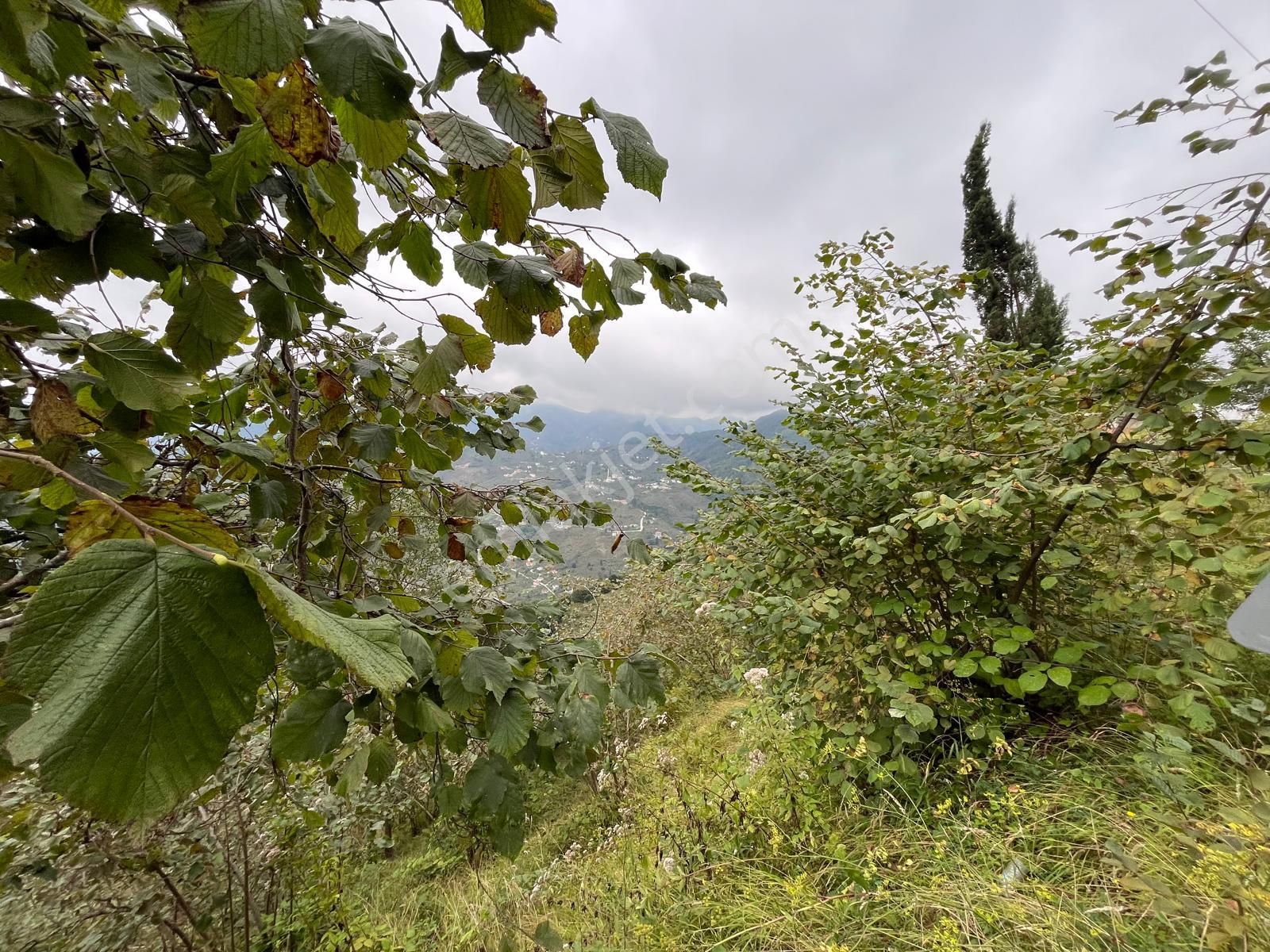 Trabzon'da Satılık Arazi - Görsel 35