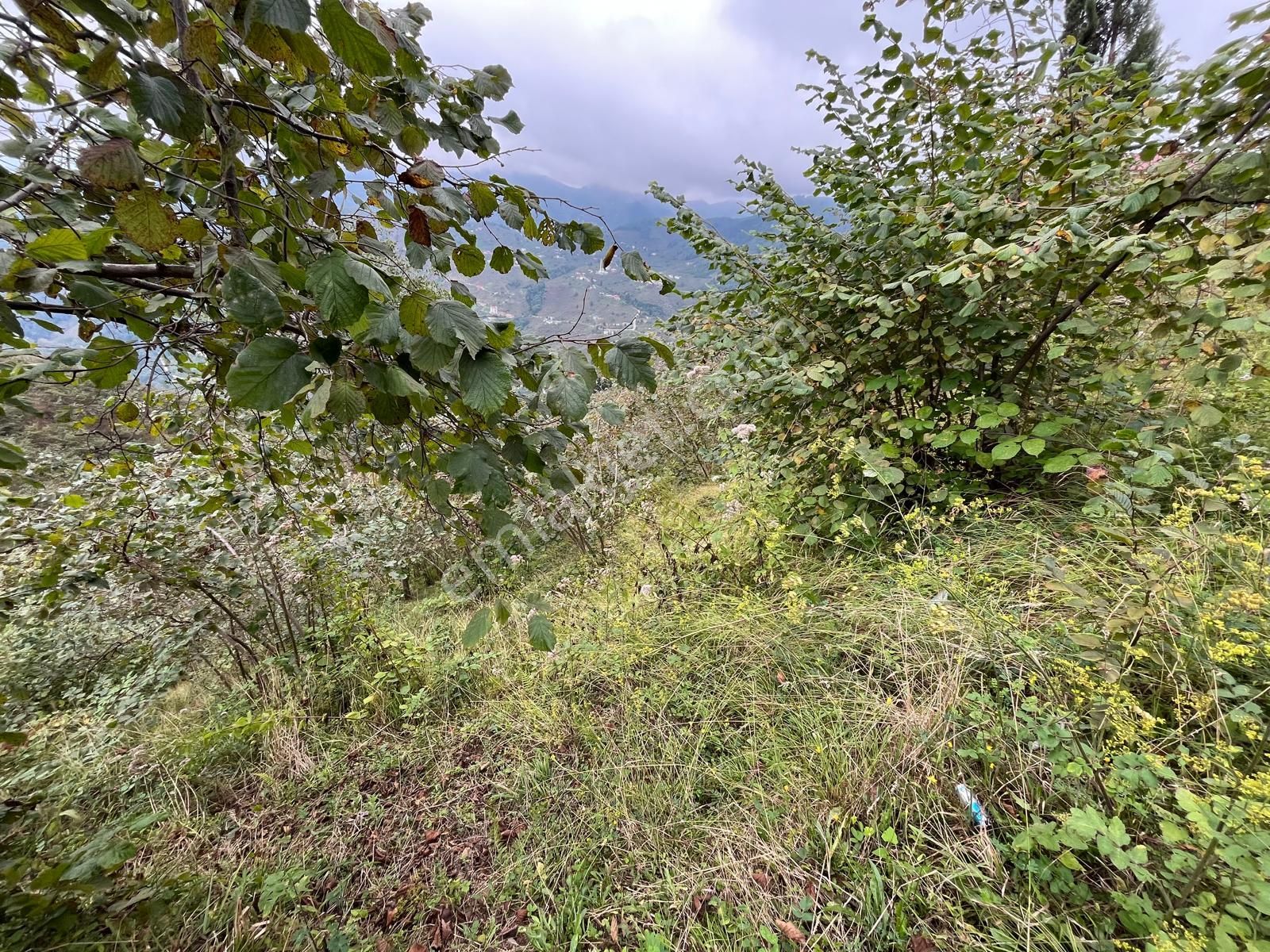 Trabzon'da Satılık Arazi - Görsel 31