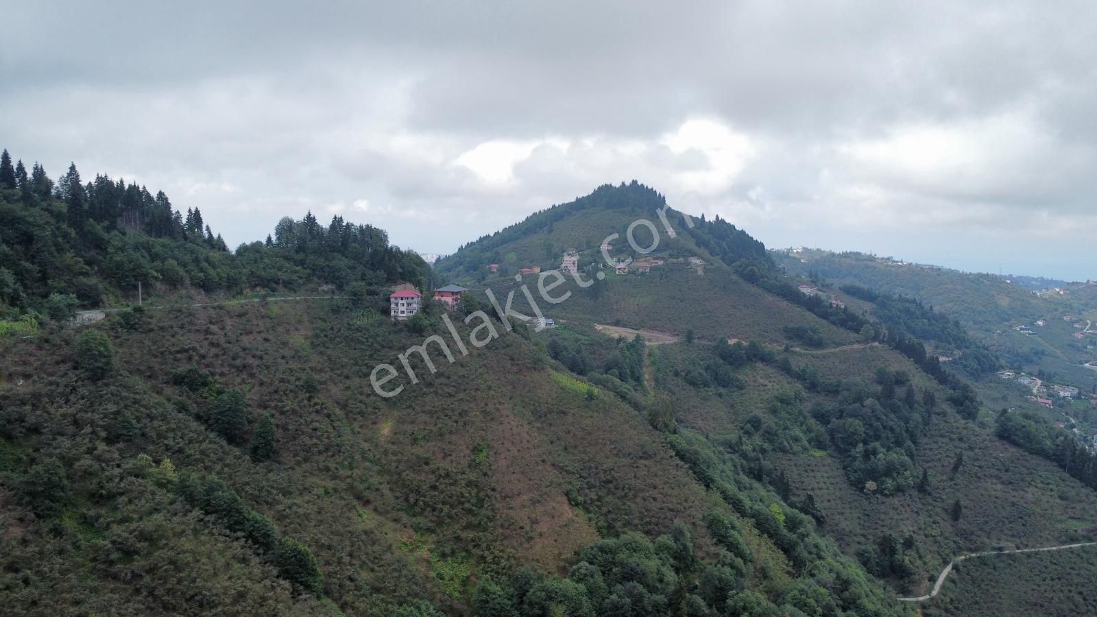 Trabzon'da Satılık Arazi - Görsel 12