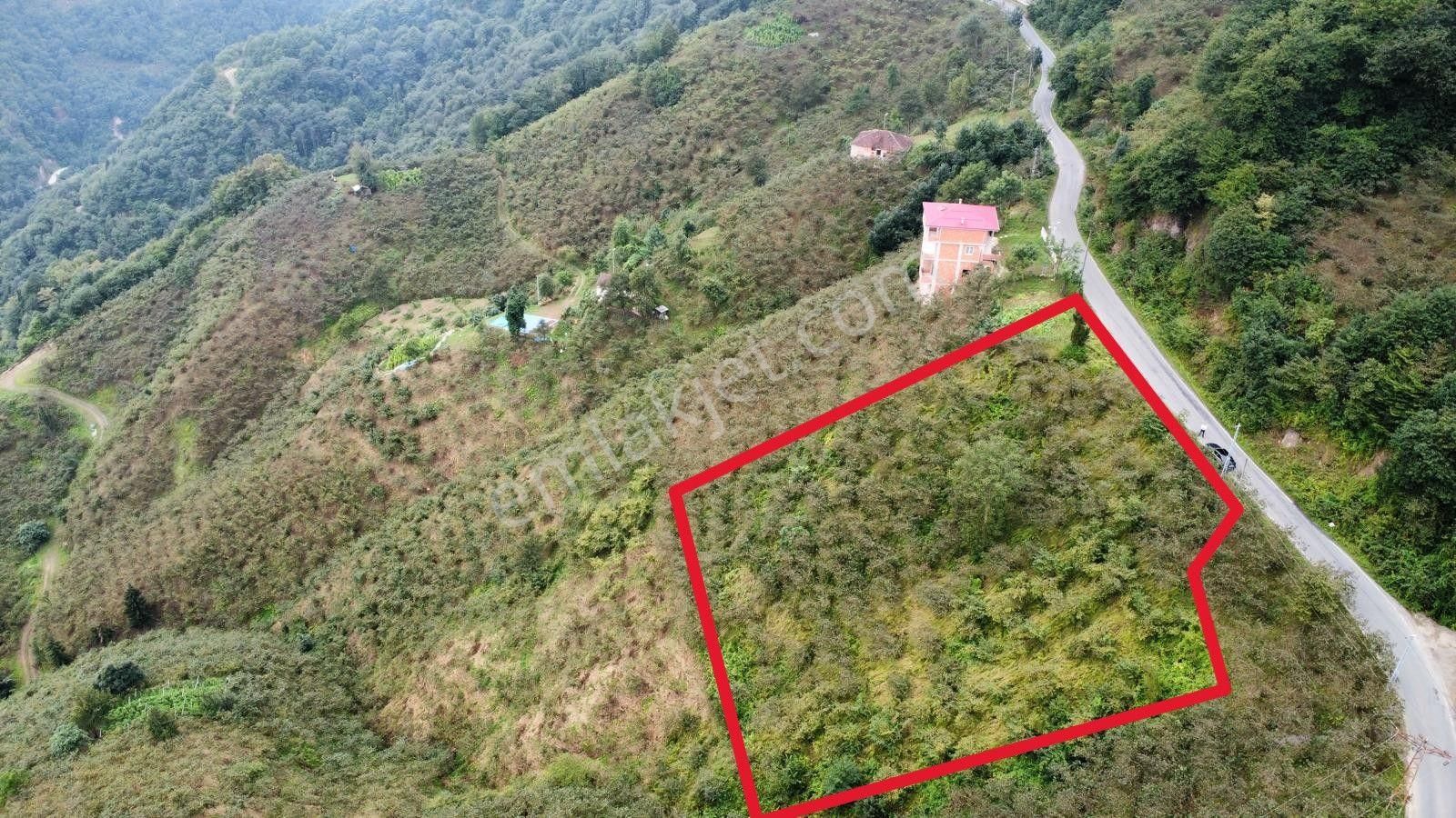 Trabzon'da Satılık Arazi - Görsel 15