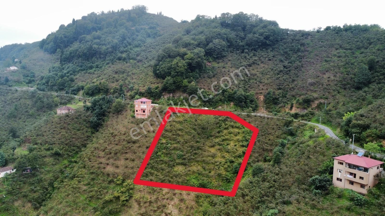 Trabzon'da Satılık Arazi