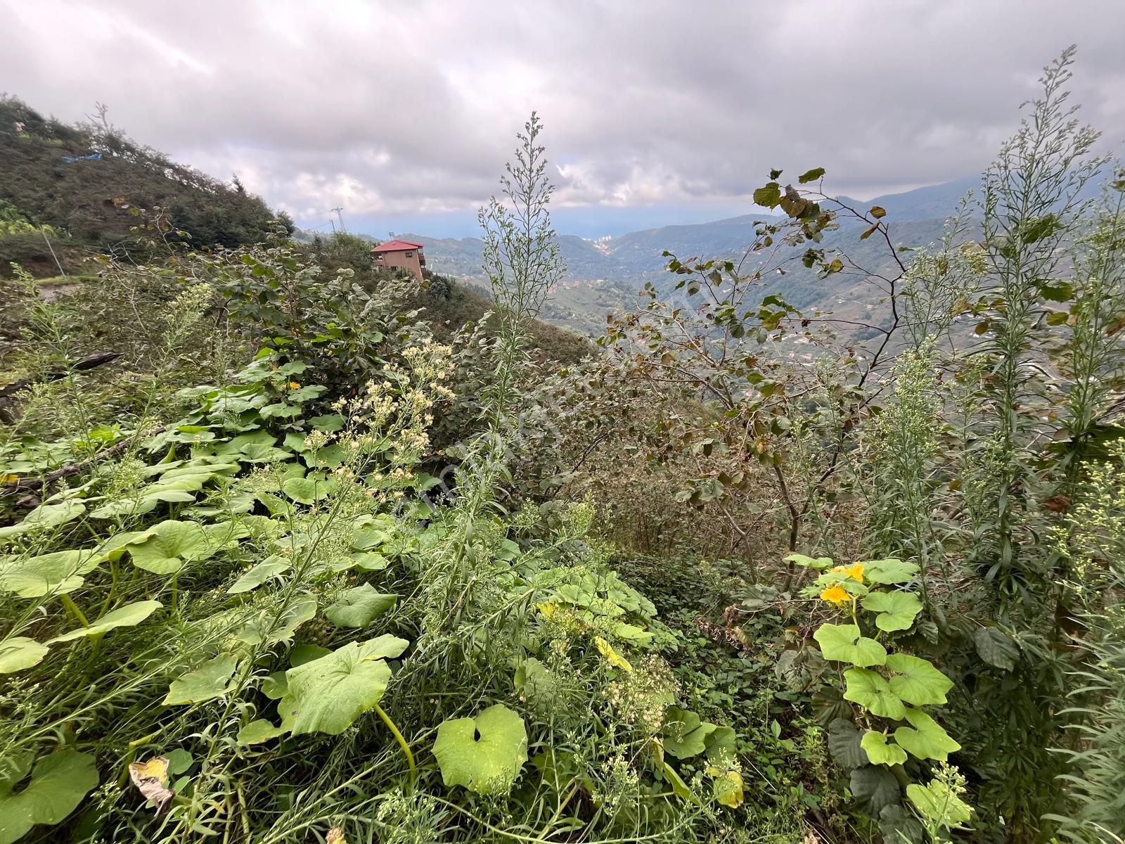 Trabzon'da Satılık Arazi - Görsel 25
