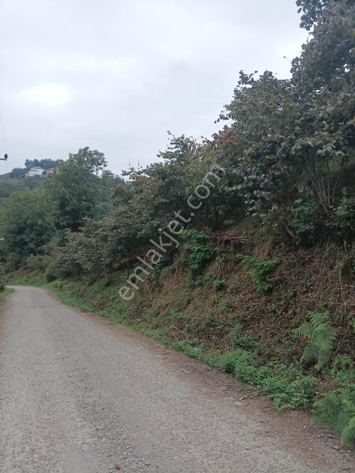 Genç Evim / Beyli / Ev Yapımına Uygun Bahçe