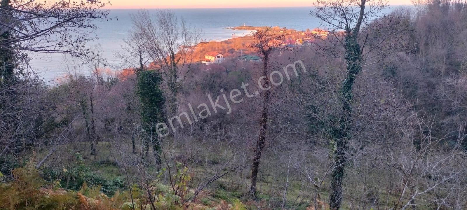 Genç Evim /çaytepe - Yason Manzaralı Bahçe - Görsel 2