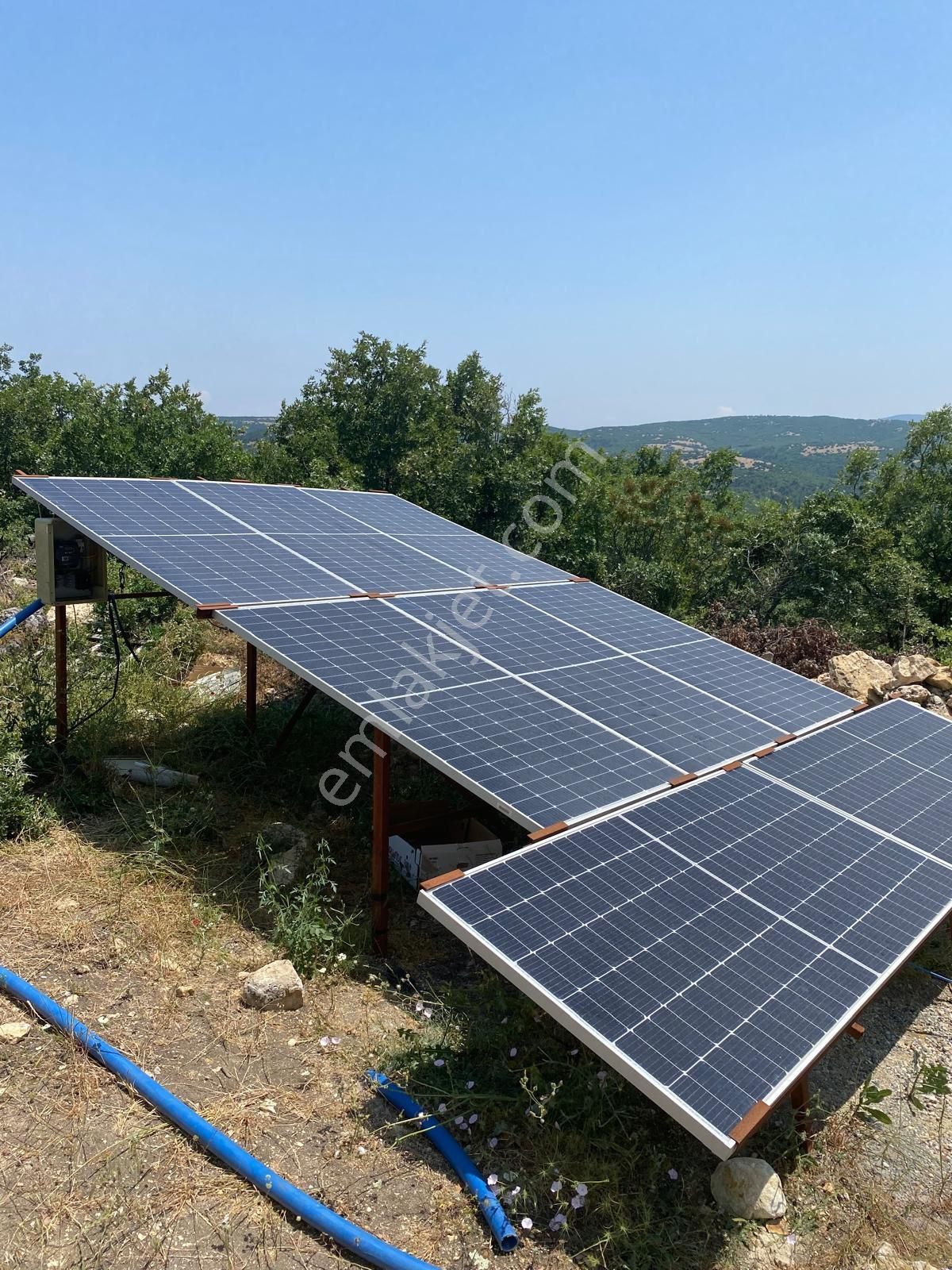 Kırkağaçta Satılık Verimli Zeytinlik - Görsel 14