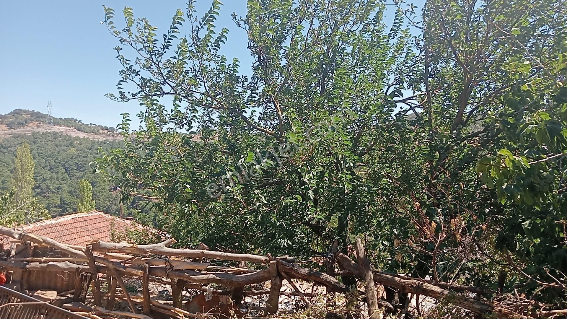 41 Dekar 1.850 Ağaçlık Marinada Ve Makako Badem Bahçesi - Görsel 13