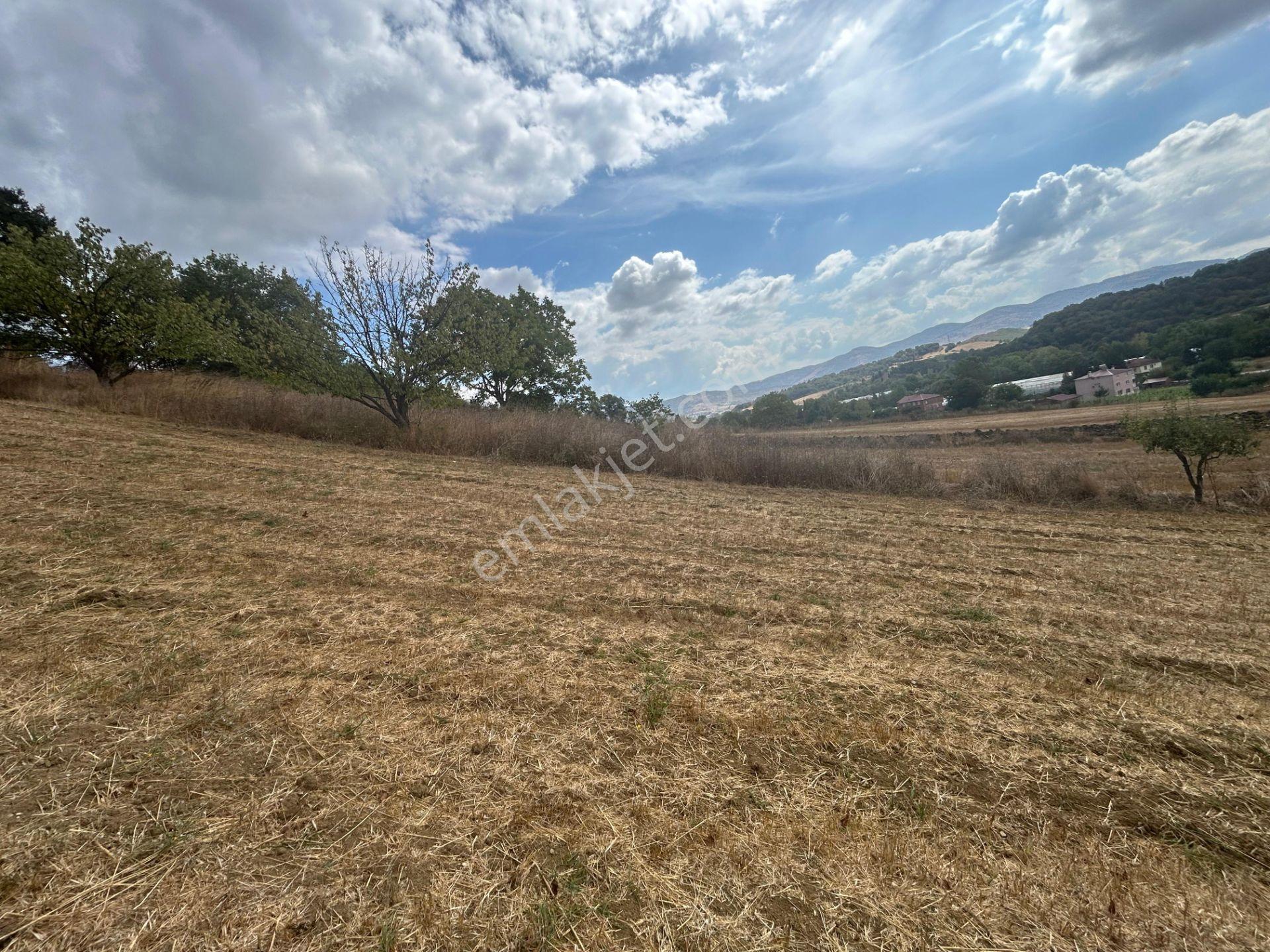 Kocaeli Karamürsel Valideköprü 3141 M² Fırsat Satılık Tarla