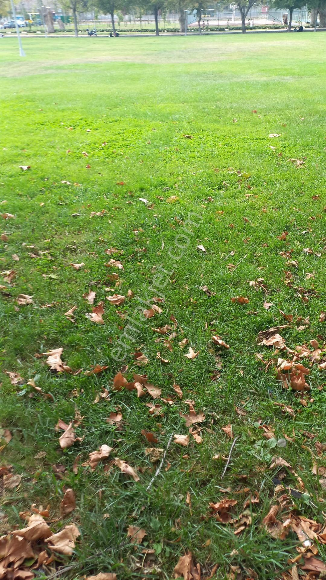 Çatalca Muratbeyde 36000m Satılık Düşeş Kazandıracak Arsa No:365