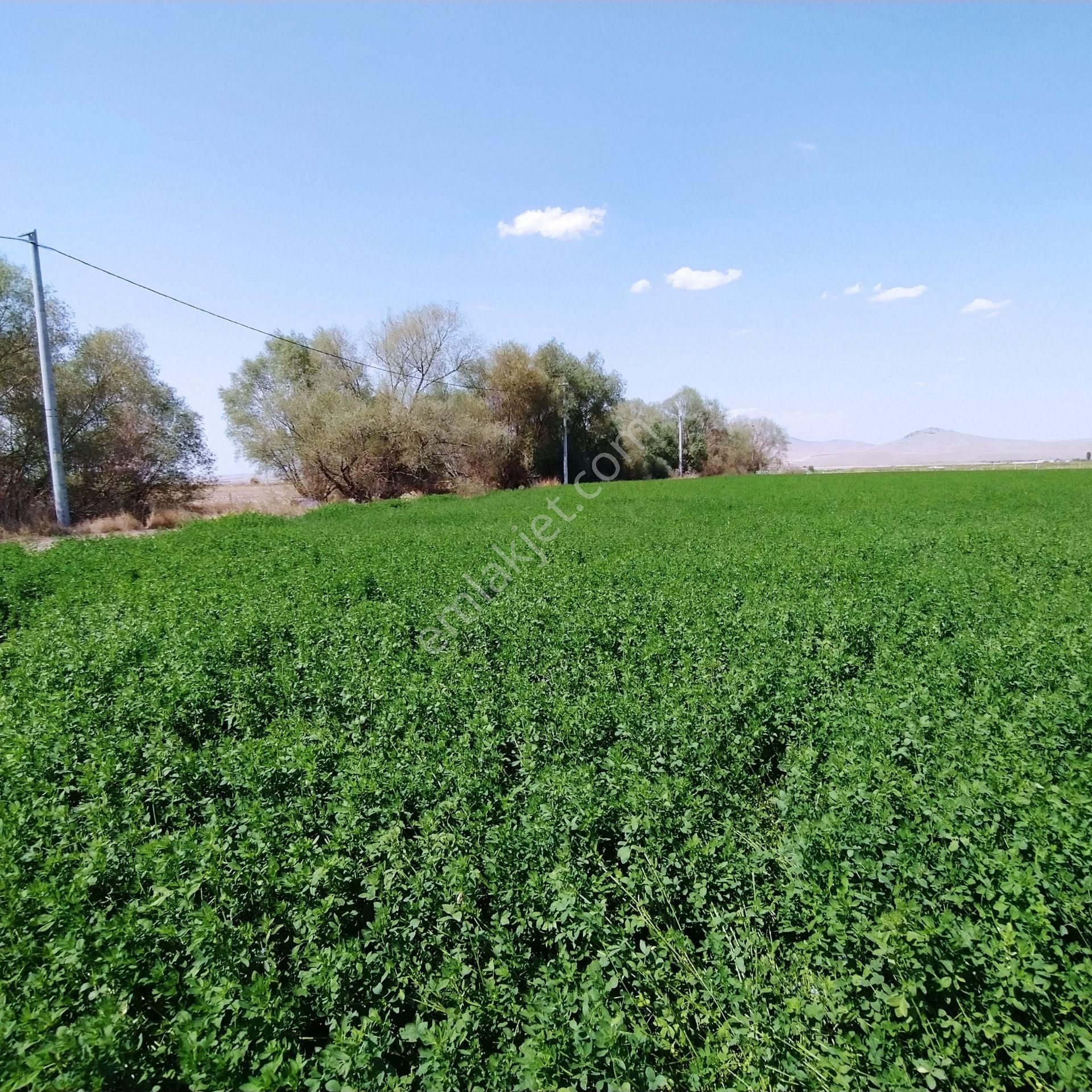 33000 M2 Tek Tapu Sulak Derin Kuyulu Elektrikli Satılık Tarla - Görsel 7