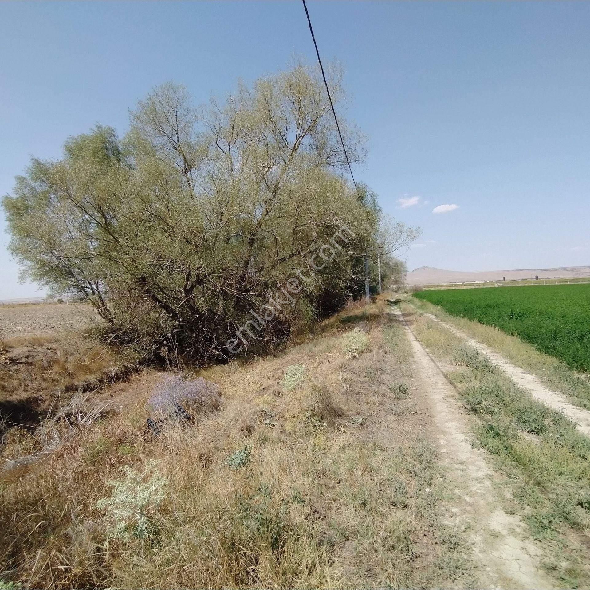 33000 M2 Tek Tapu Sulak Derin Kuyulu Elektrikli Satılık Tarla - Görsel 10