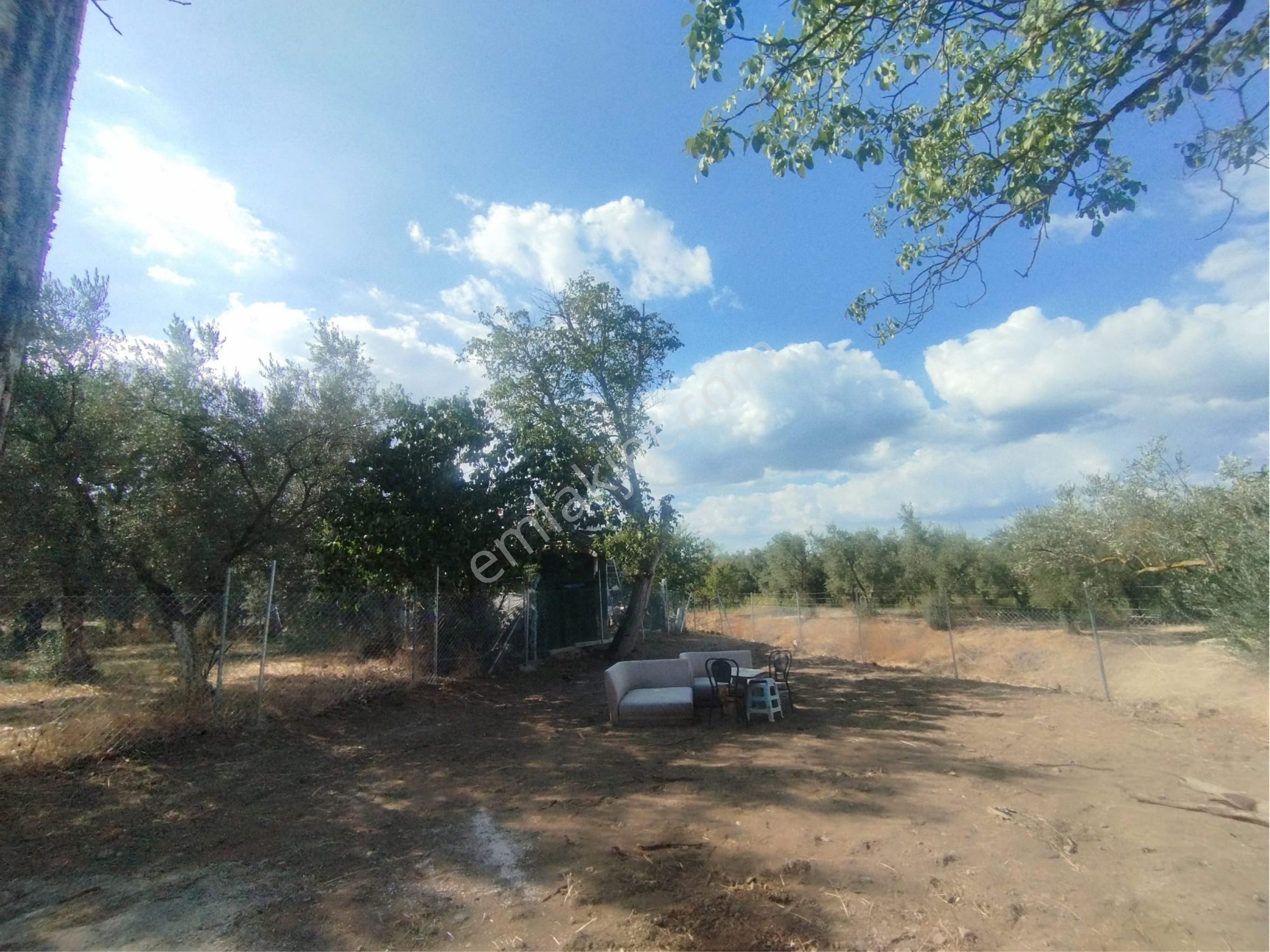 Beka Gayrimenkul'den Dutluca Altında 202 M² Hobi Bahçesi - Görsel 12