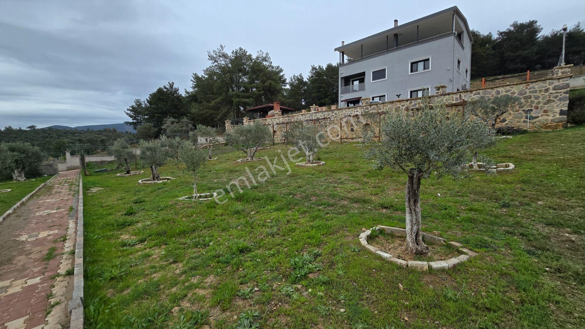 🌿 Buca – Kırklar Mahallesi’nde Satılık 6+1 Müstakil Ev