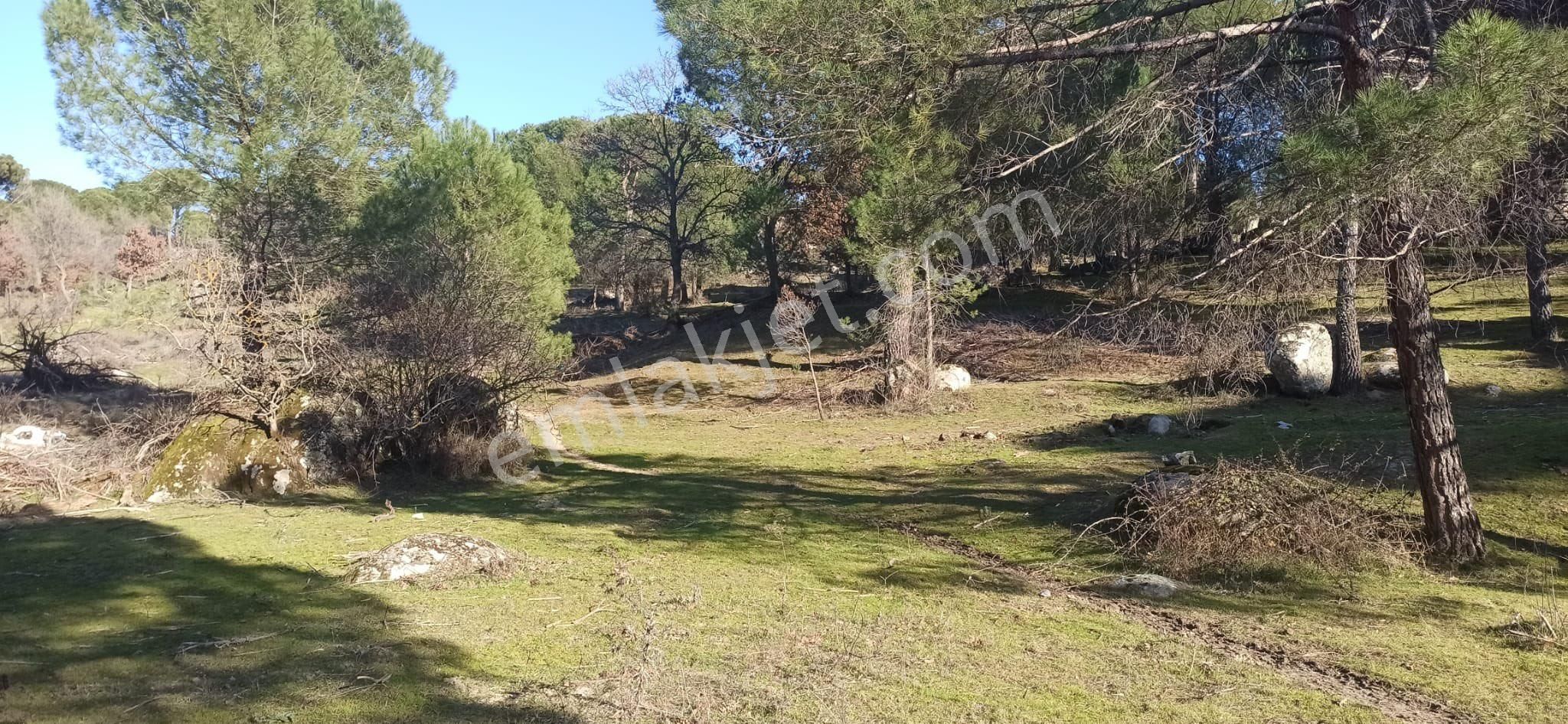 Kozak Çelebi Emlak’tan 1700 M2 Müstakil Tapulu Köye Yakın Uygun Fiyat!! - Görsel 2