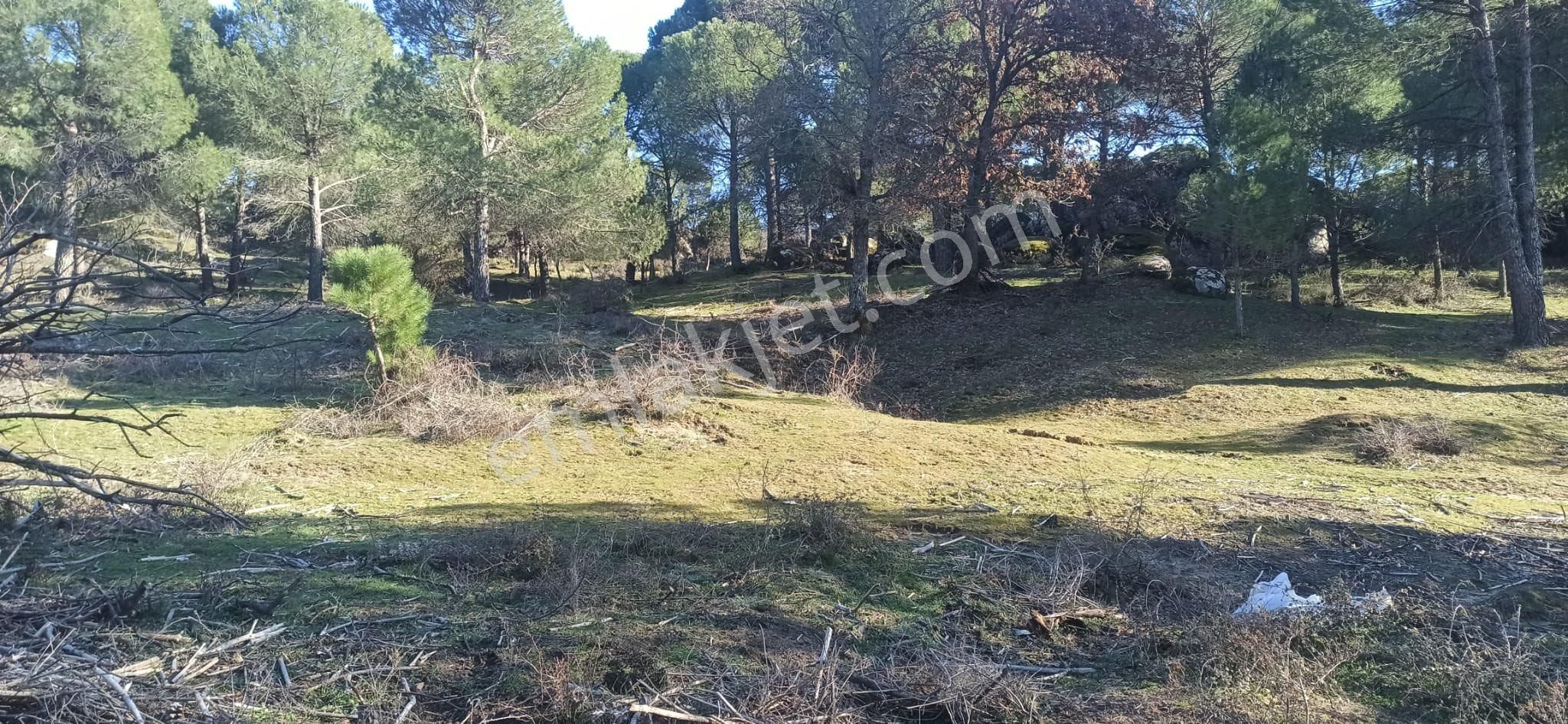 Kozak Çelebi Emlak’tan 1700 M2 Müstakil Tapulu Köye Yakın Uygun Fiyat!! - Görsel 11