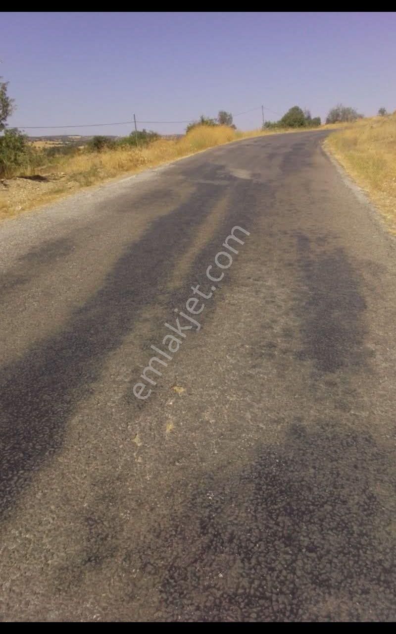 Satılık Tarla - Görsel 3
