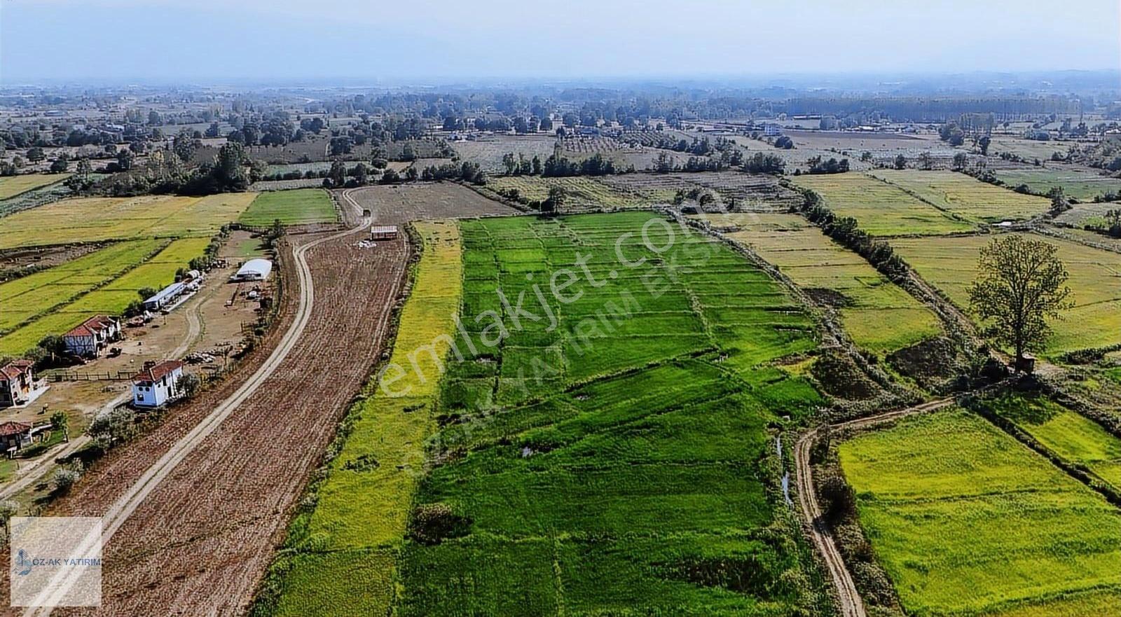 Öz-ak Tan İmara 1 Km Mesafede Verimli 3320 M2 Arazi Hissesi - Görsel 5