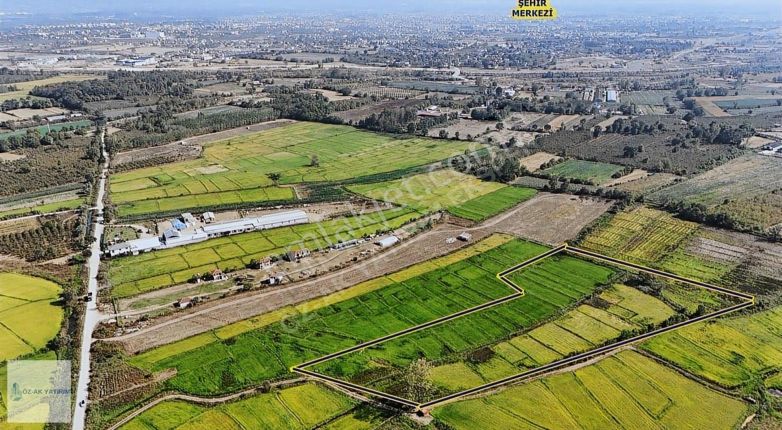 Öz-ak Tan İmara 1 Km Mesafede Verimli 3320 M2 Arazi Hissesi - Görsel 4
