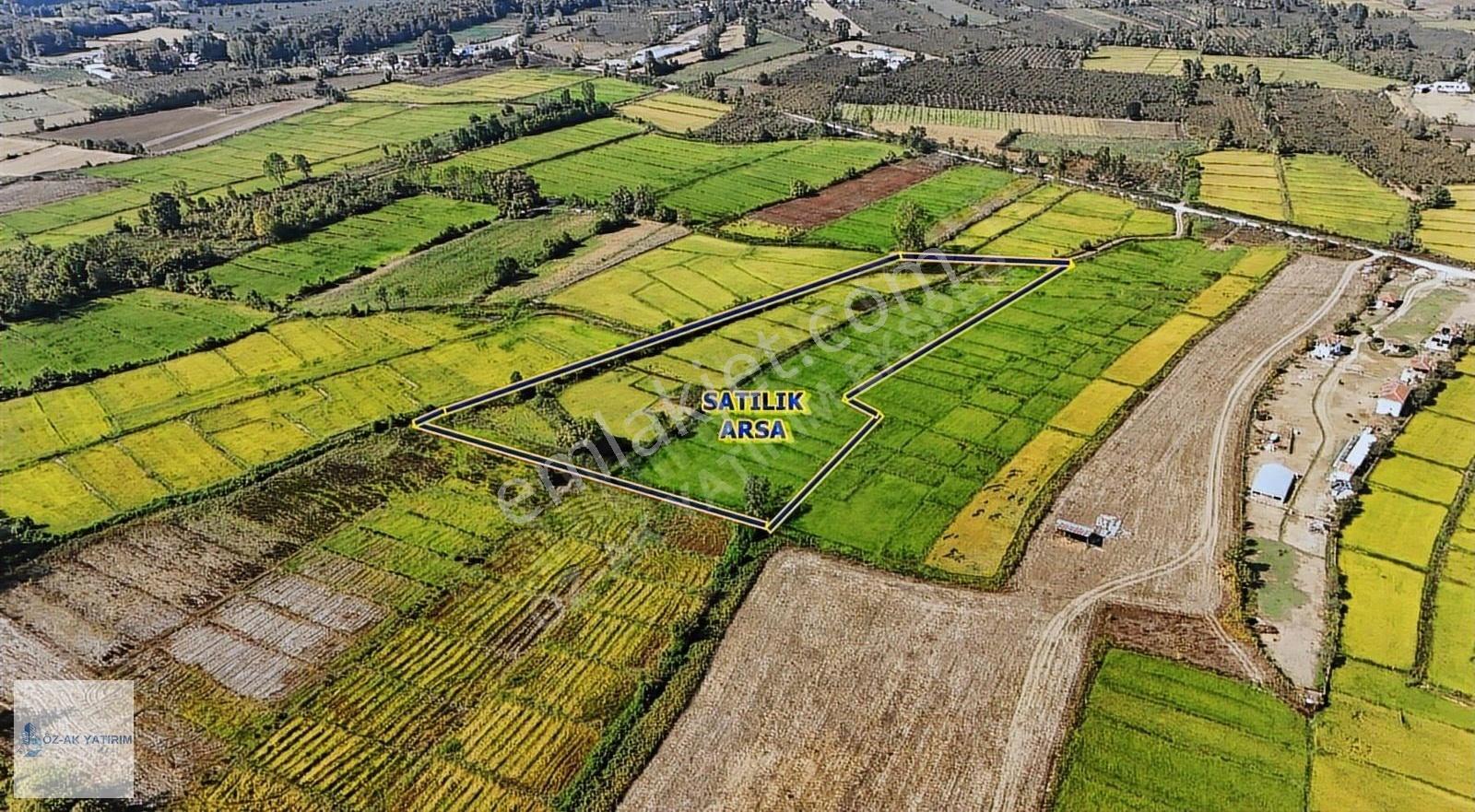 Öz-ak Tan İmara 1 Km Mesafede Verimli 3320 M2 Arazi Hissesi