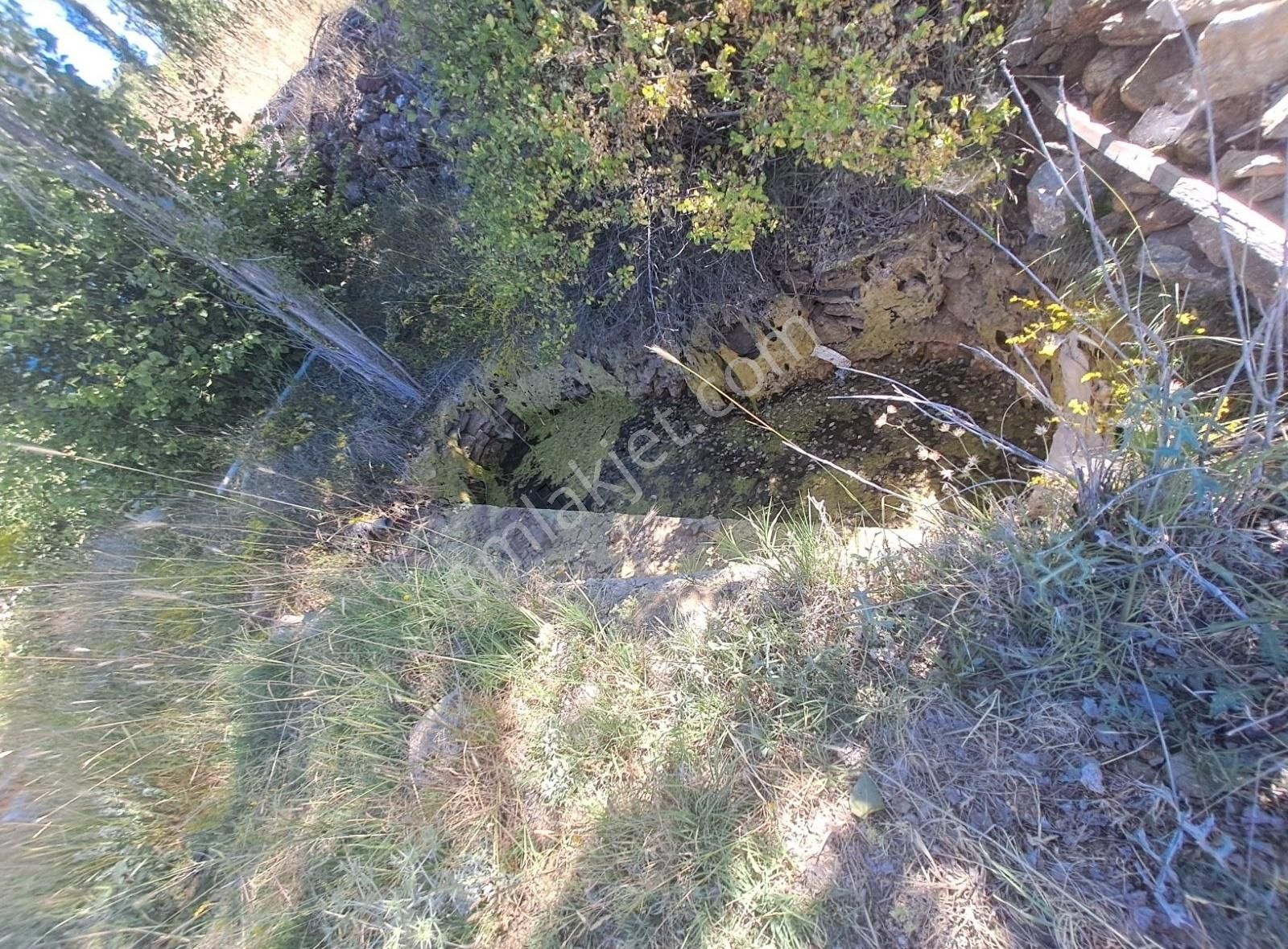 Konya Beyşehir Üzümlü De Usanmaz Emlaktan Satılık Bağ Yeri - Görsel 28