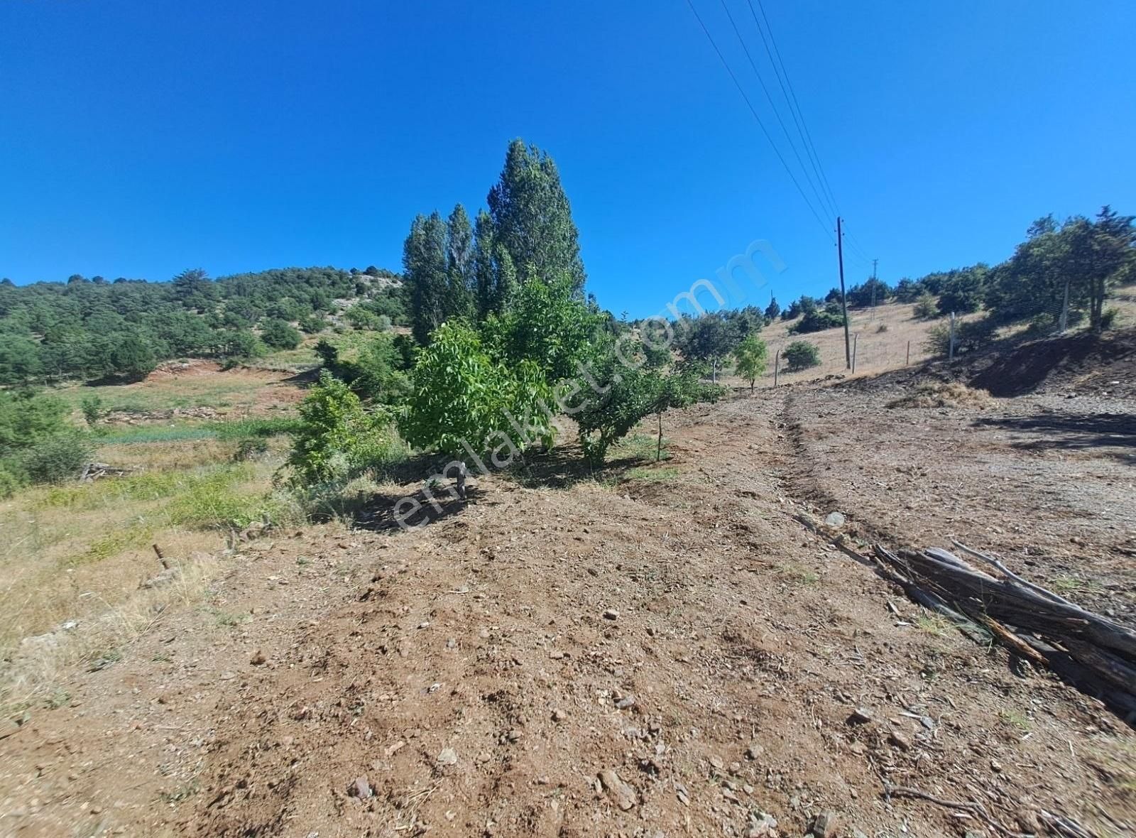 Konya Beyşehir Üzümlü De Usanmaz Emlaktan Satılık Bağ Yeri - Görsel 5