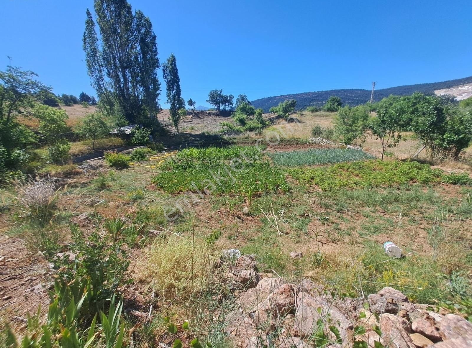 Konya Beyşehir Üzümlü De Usanmaz Emlaktan Satılık Bağ Yeri - Görsel 34