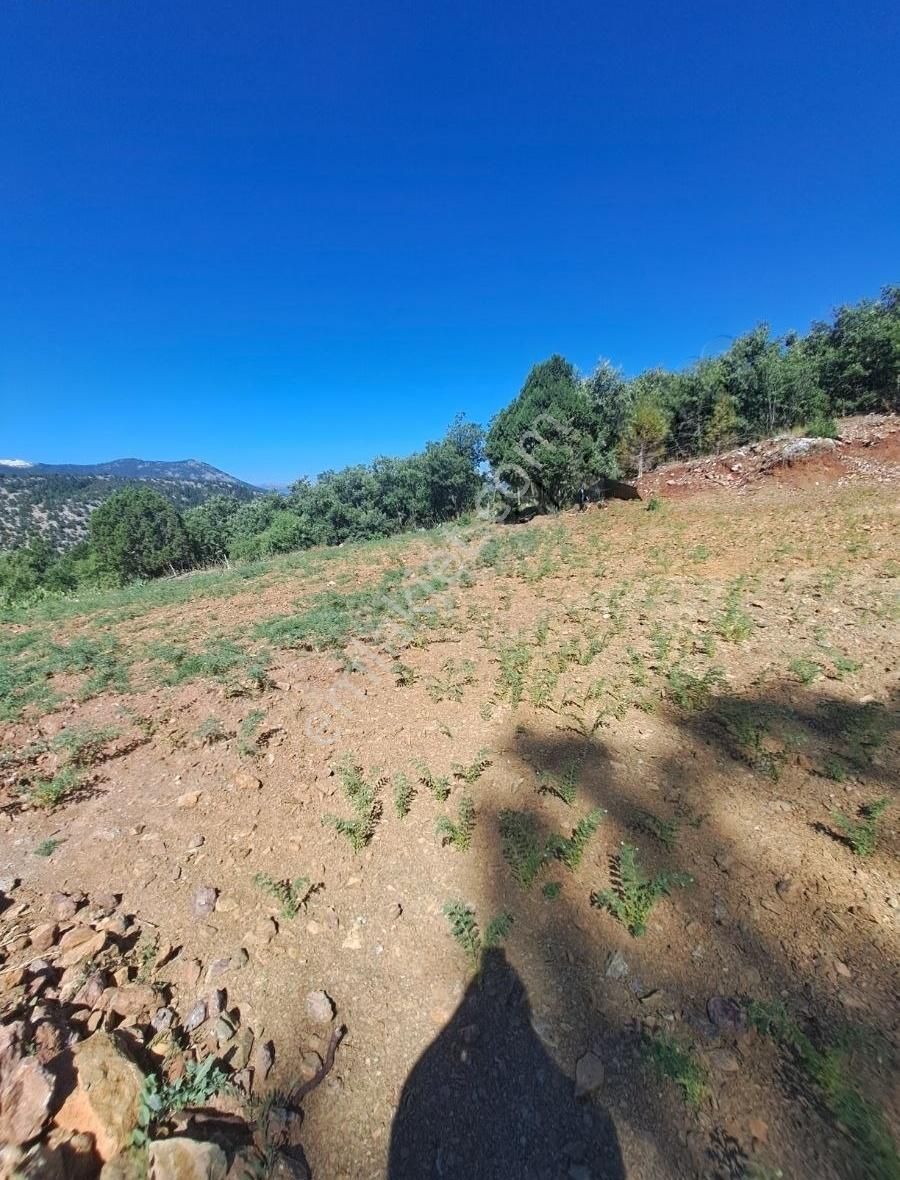 Konya Beyşehir Üzümlü De Usanmaz Emlaktan Satılık Bağ Yeri - Görsel 2