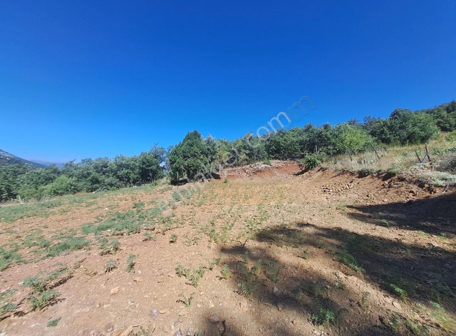 Konya Beyşehir Üzümlü De Usanmaz Emlaktan Satılık Bağ Yeri - Görsel 16