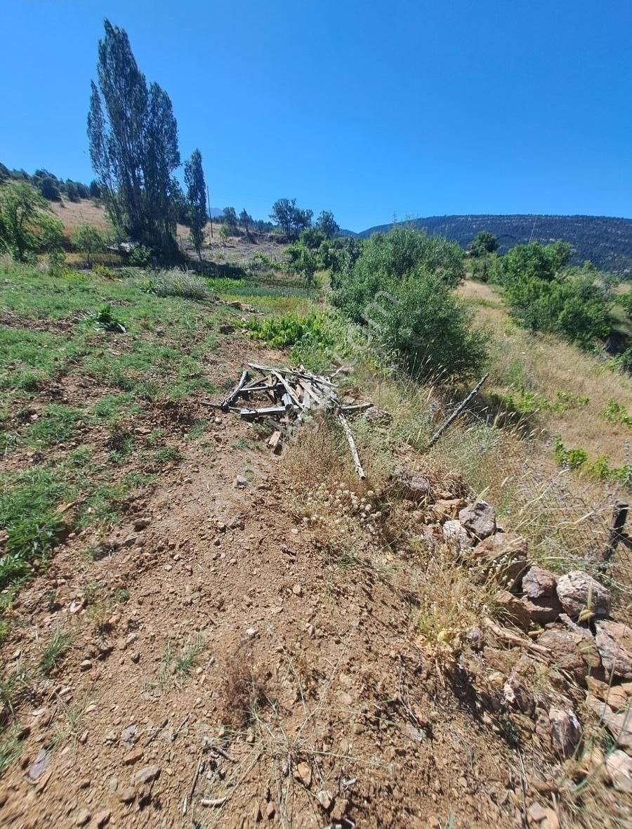 Konya Beyşehir Üzümlü De Usanmaz Emlaktan Satılık Bağ Yeri - Görsel 13