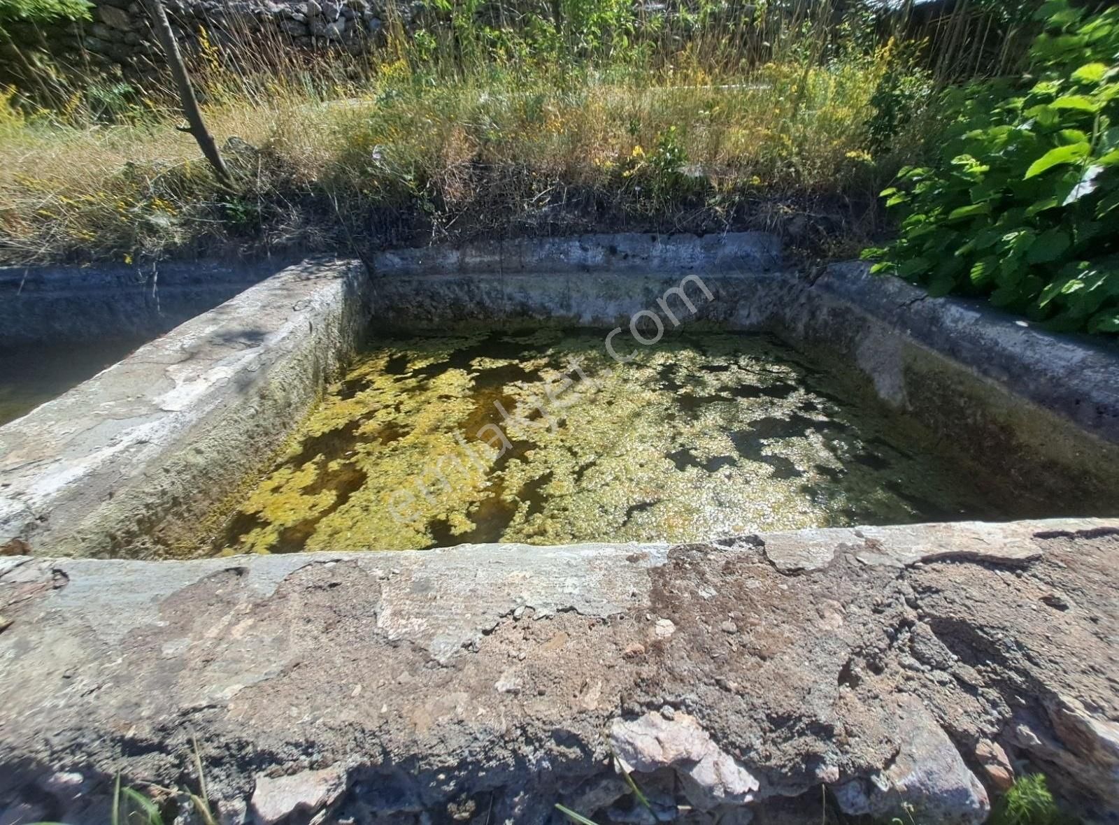 Konya Beyşehir Üzümlü De Usanmaz Emlaktan Satılık Bağ Yeri - Görsel 22