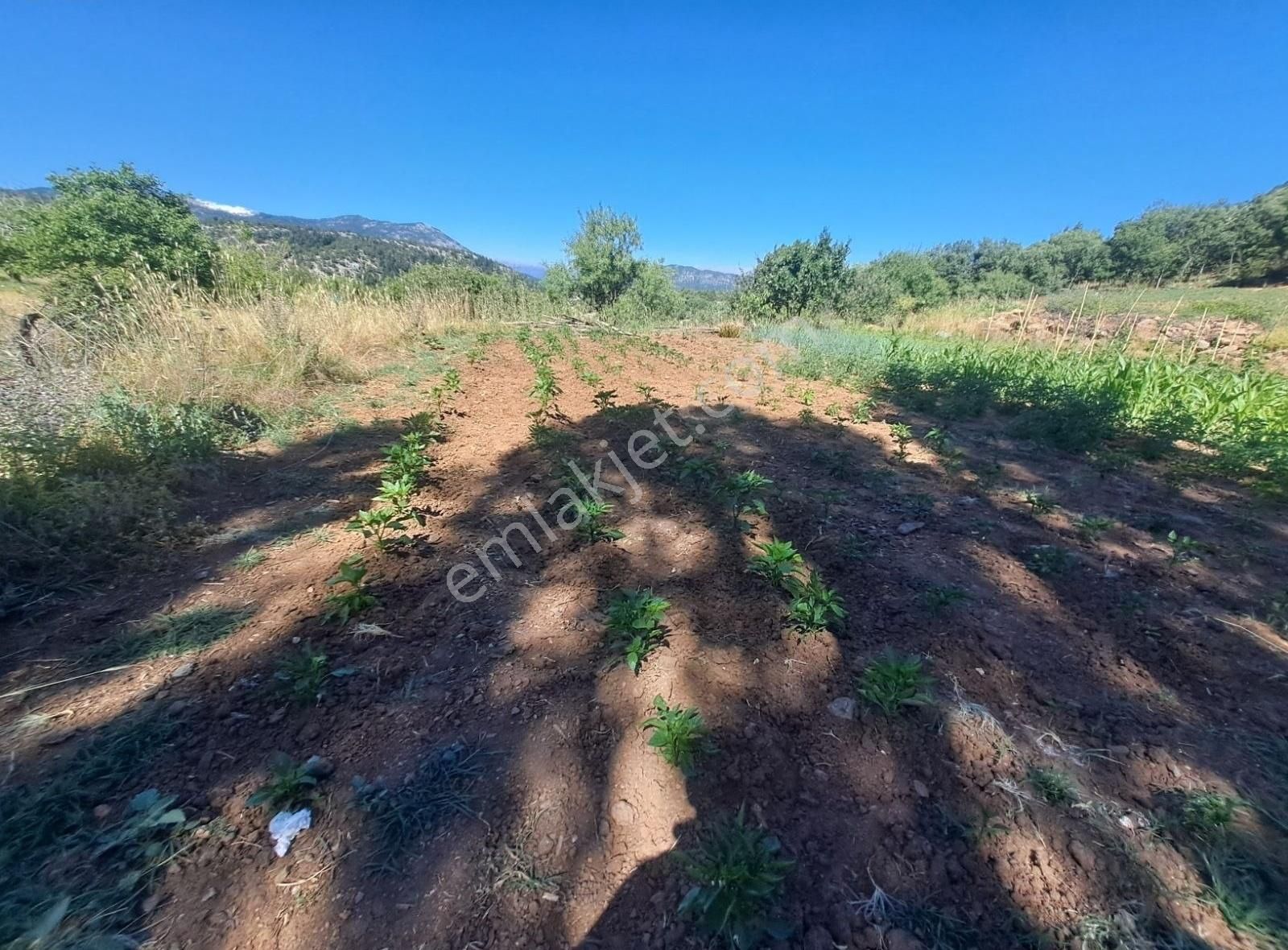 Konya Beyşehir Üzümlü De Usanmaz Emlaktan Satılık Bağ Yeri - Görsel 27
