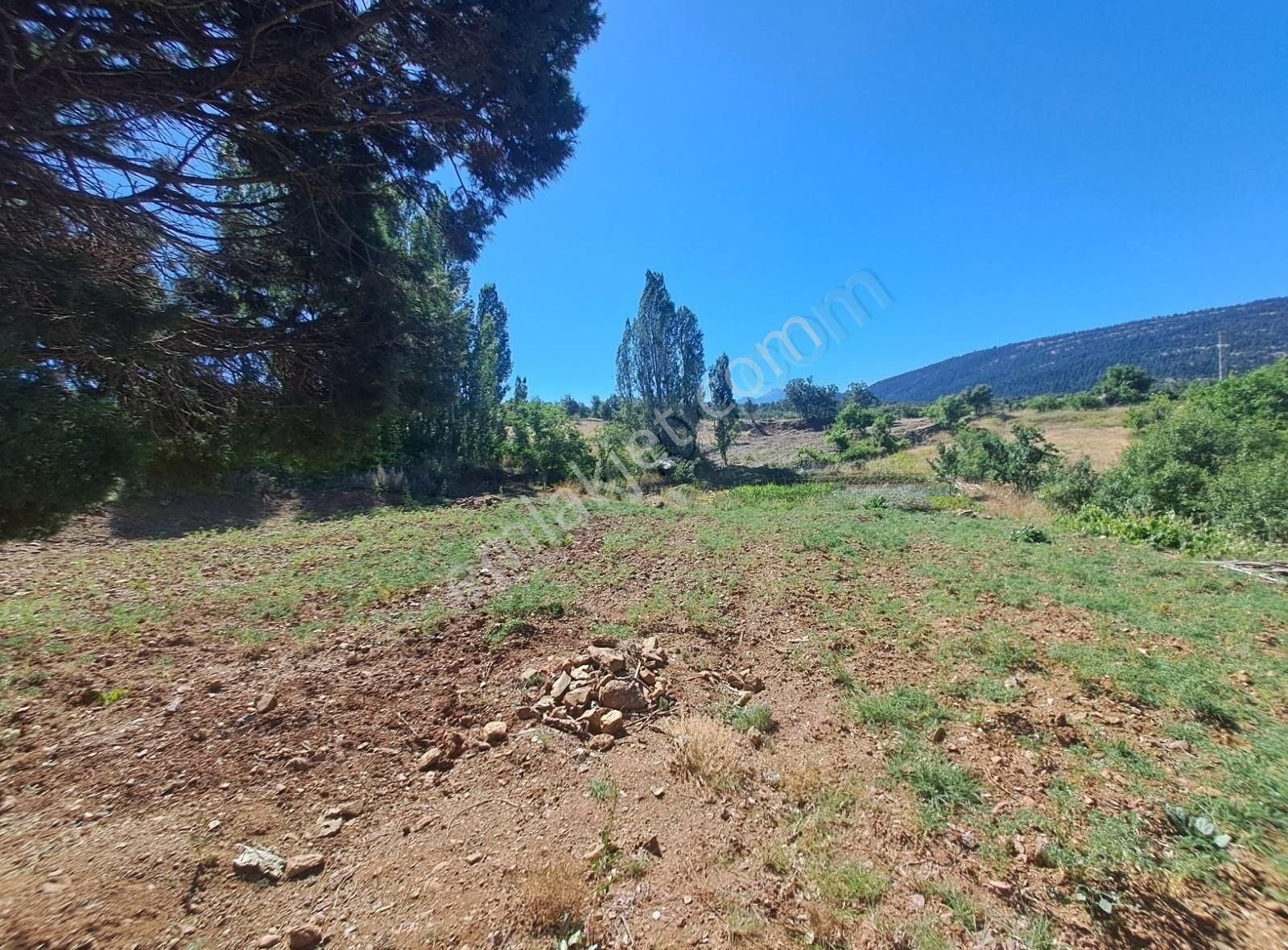 Konya Beyşehir Üzümlü De Usanmaz Emlaktan Satılık Bağ Yeri - Görsel 33