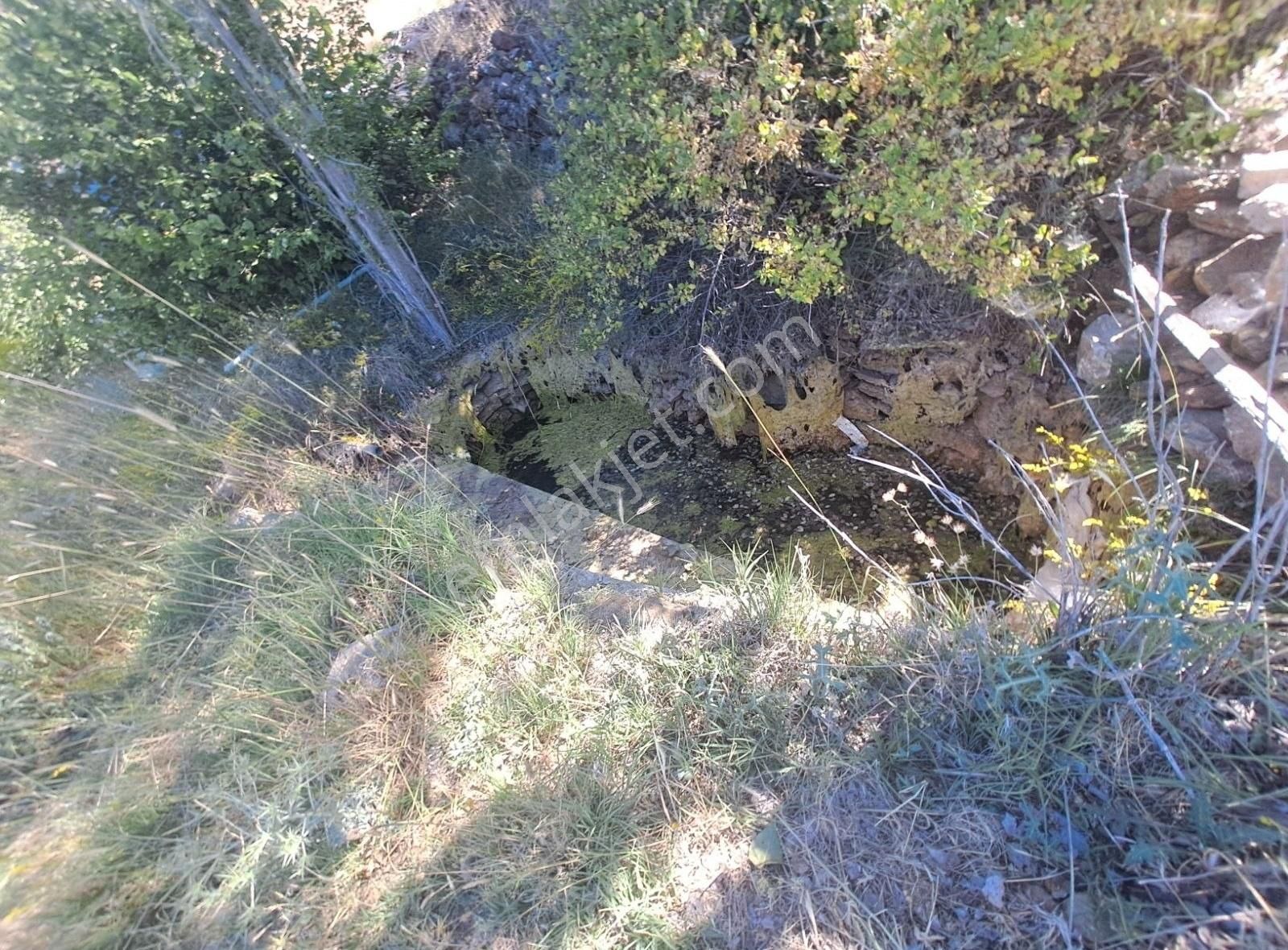 Konya Beyşehir Üzümlü De Usanmaz Emlaktan Satılık Bağ Yeri - Görsel 29