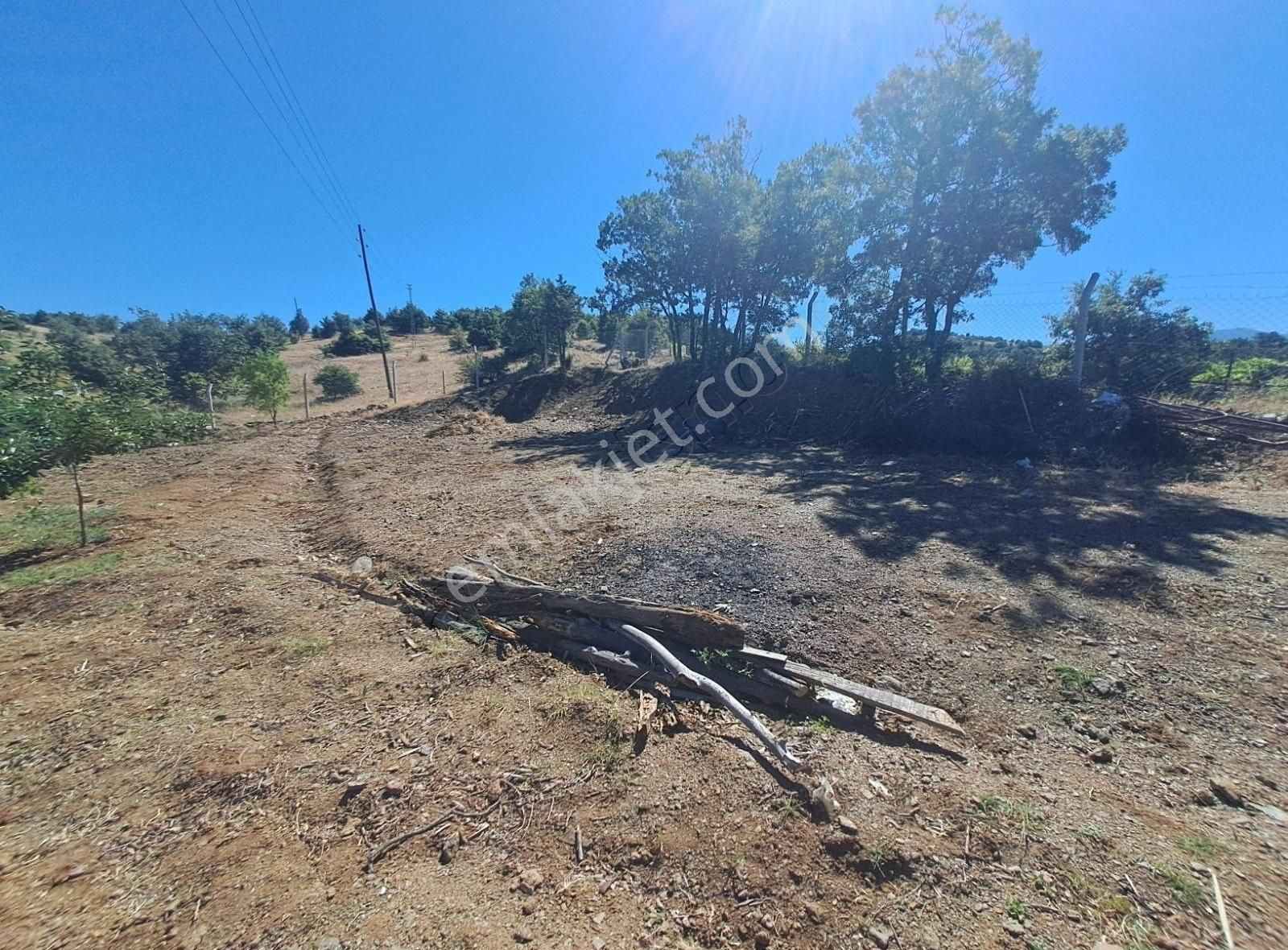 Konya Beyşehir Üzümlü De Usanmaz Emlaktan Satılık Bağ Yeri - Görsel 8