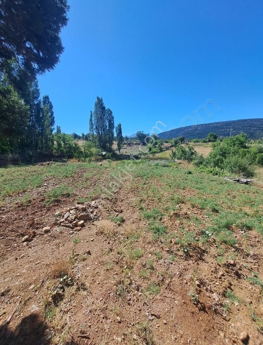 Konya Beyşehir Üzümlü De Usanmaz Emlaktan Satılık Bağ Yeri - Görsel 14