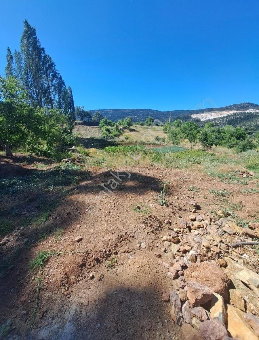 Konya Beyşehir Üzümlü De Usanmaz Emlaktan Satılık Bağ Yeri - Görsel 20